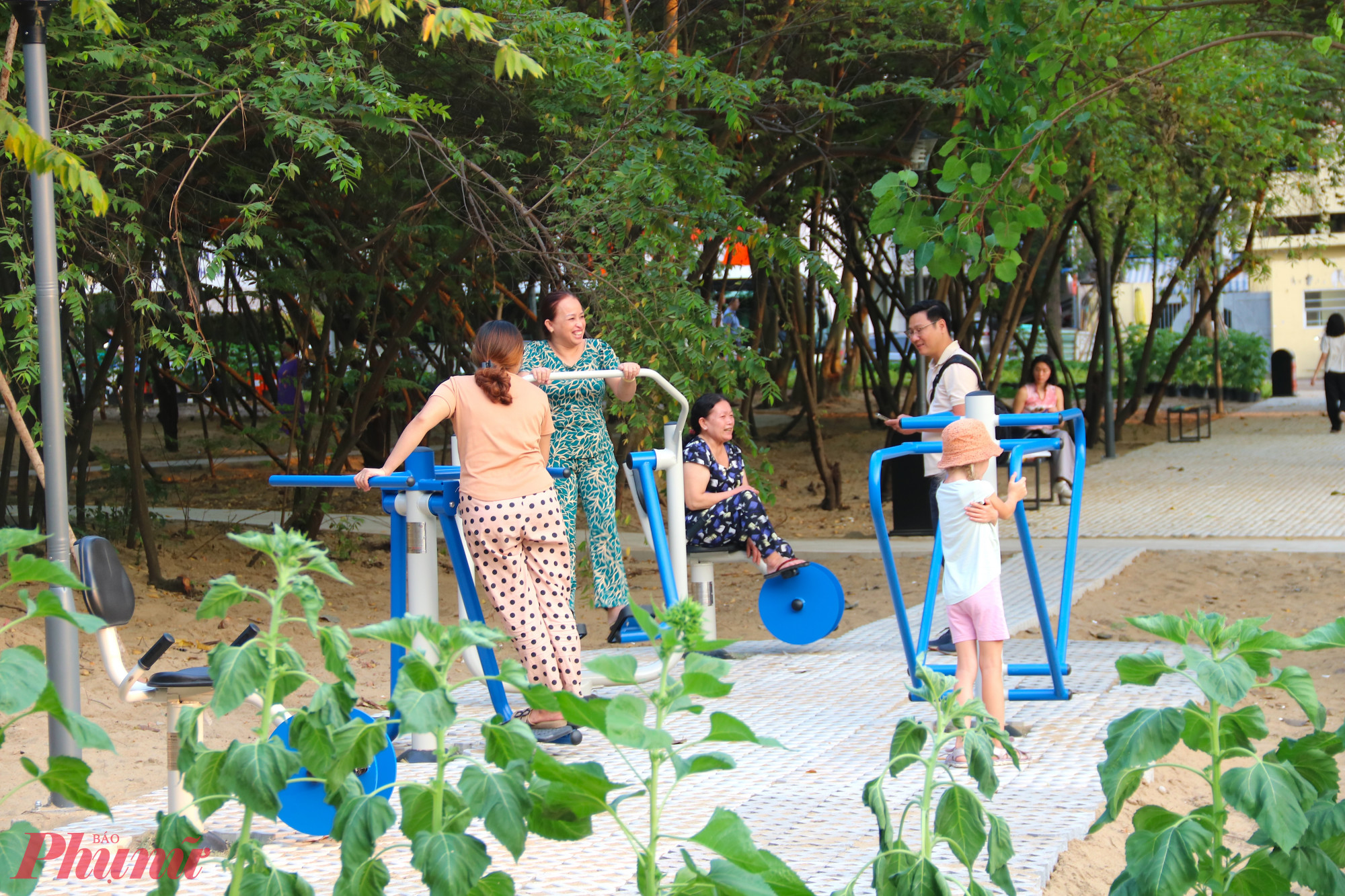 Nhà thi đấu Phan Đình Phùng bỏ hoang đã trở thành công viên phục vụ người dân dịp Tết Bính Ngọ - Ảnh: Thanh Tâm