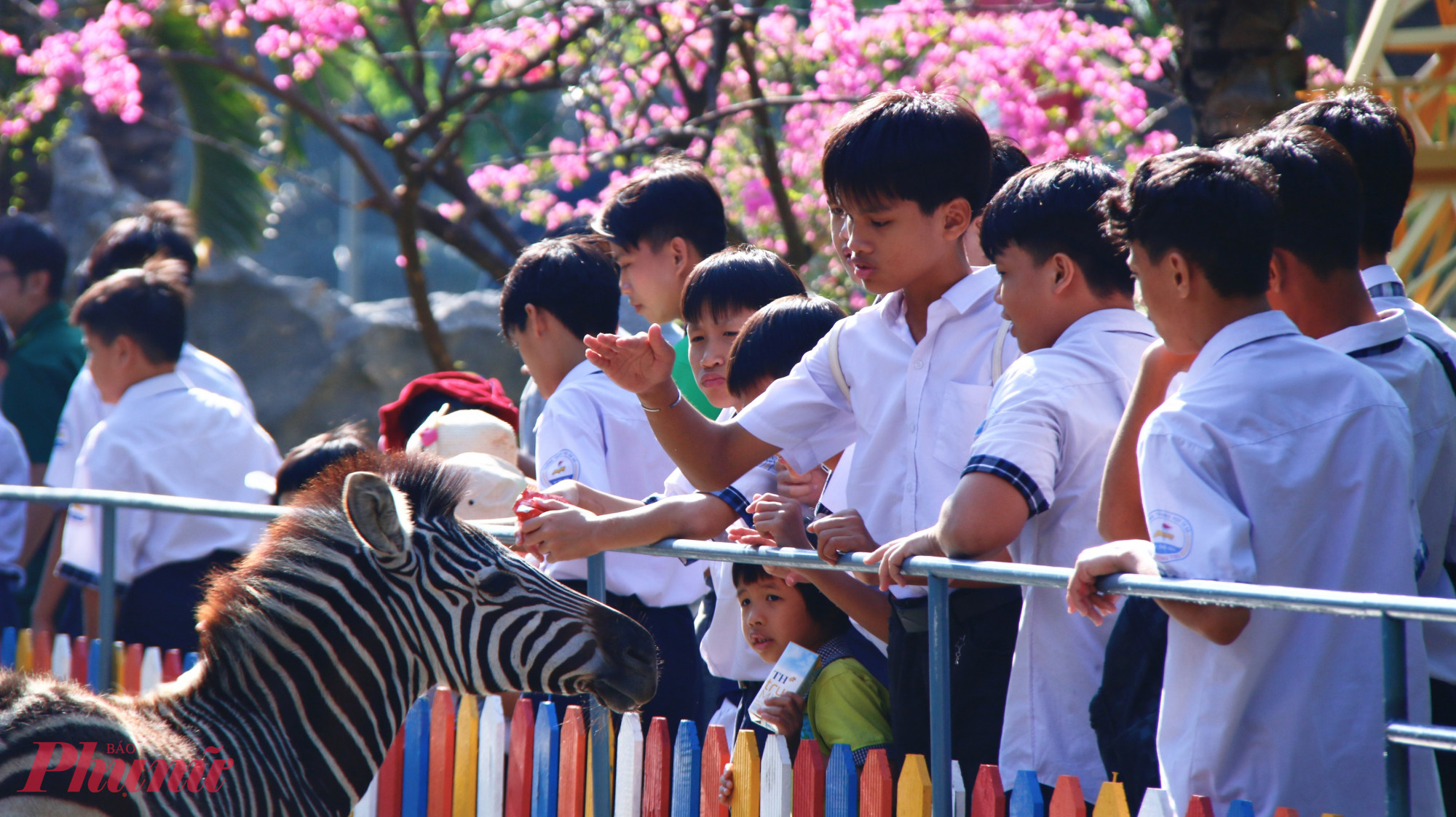 Trong khuôn khổ chương trình, các em nhỏ được tham gia nhiều hoạt động vui chơi, trải nghiệm bổ ích, an toàn và lành mạnh như: tham quan các khu di tích lịch sử, khu sinh thái - trải nghiệm nông nghiệp; tham gia các trò chơi dân gian, hoạt động tập thể, hoạt động gắn với thiên nhiên và bảo vệ môi trường. 