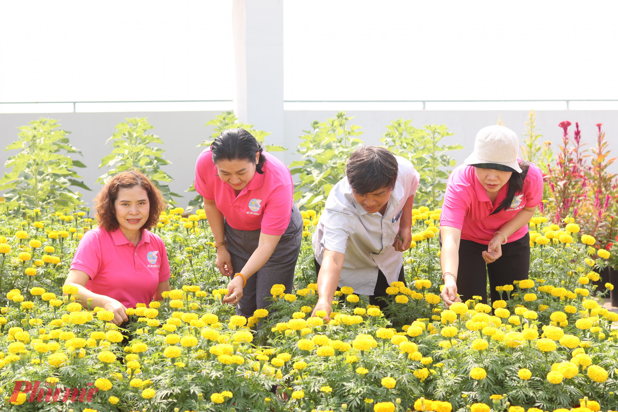 Chị em phường An Lạc đã cùng trồng và chăm sóc vườn hoa tết để tặng các cụ già neo đơn - Ảnh: Thảo Nguyên