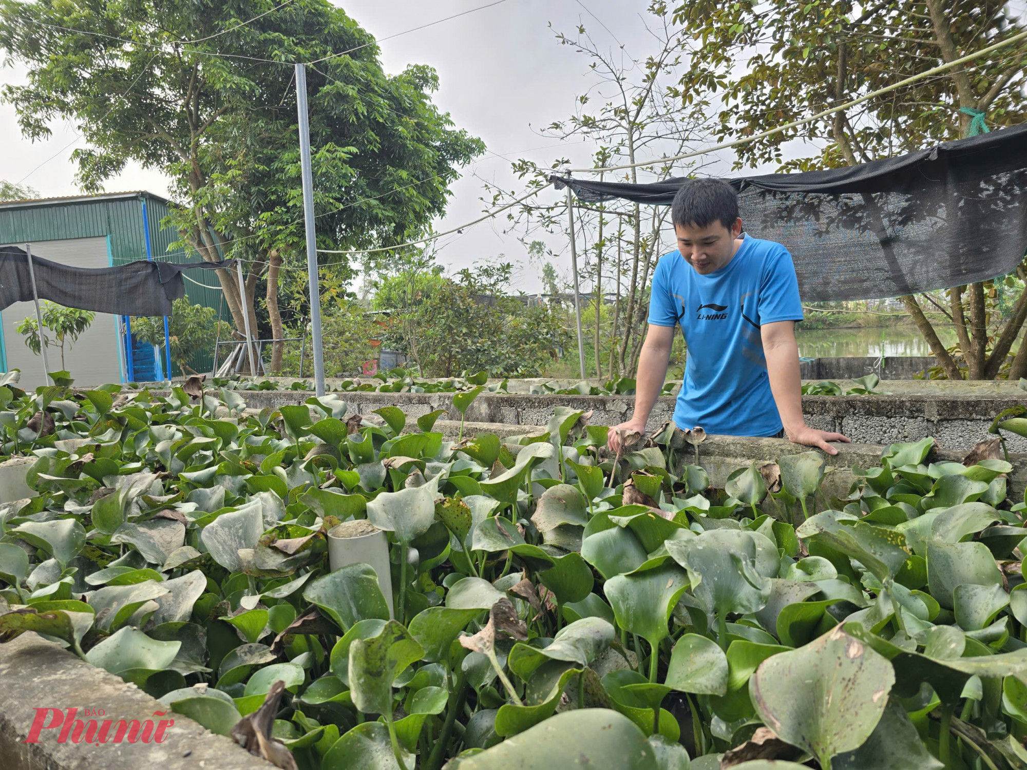 Khu vực nuôi lươn sinh sản được thiết kế tách biệt