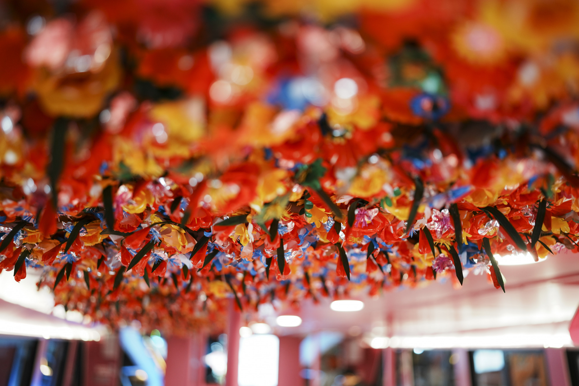 1000 cành hoa giấy ngũ sắc Thanh Tiên của xứ Huế đang khoe sắc trên những chuyến tàu giữa Sài Gòn