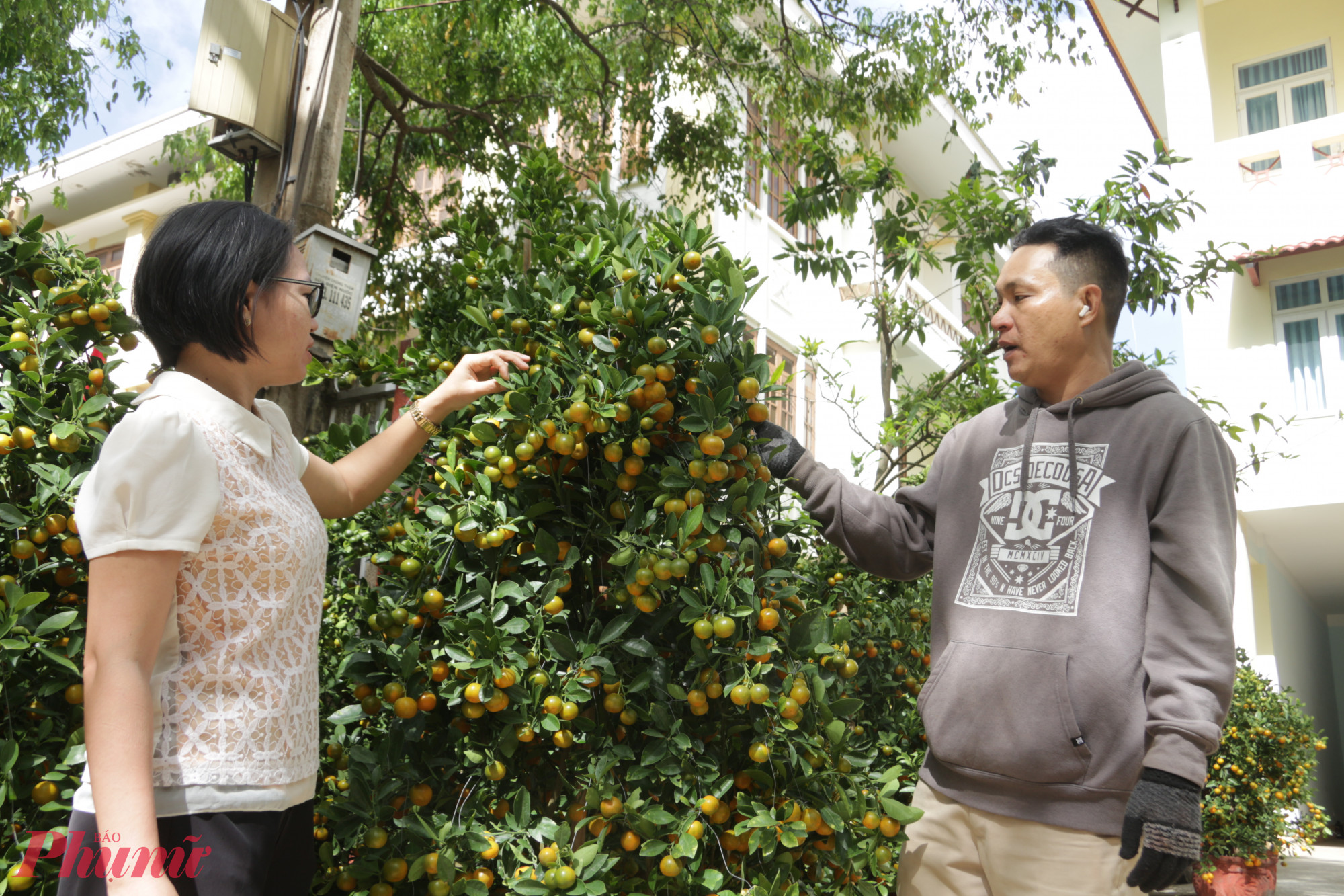 Anh Thiện cho biết, để có được 78 chậu quất phục vụ Tết, gia đình anh phải đầu tư nhiều công sức sau mưa lũ