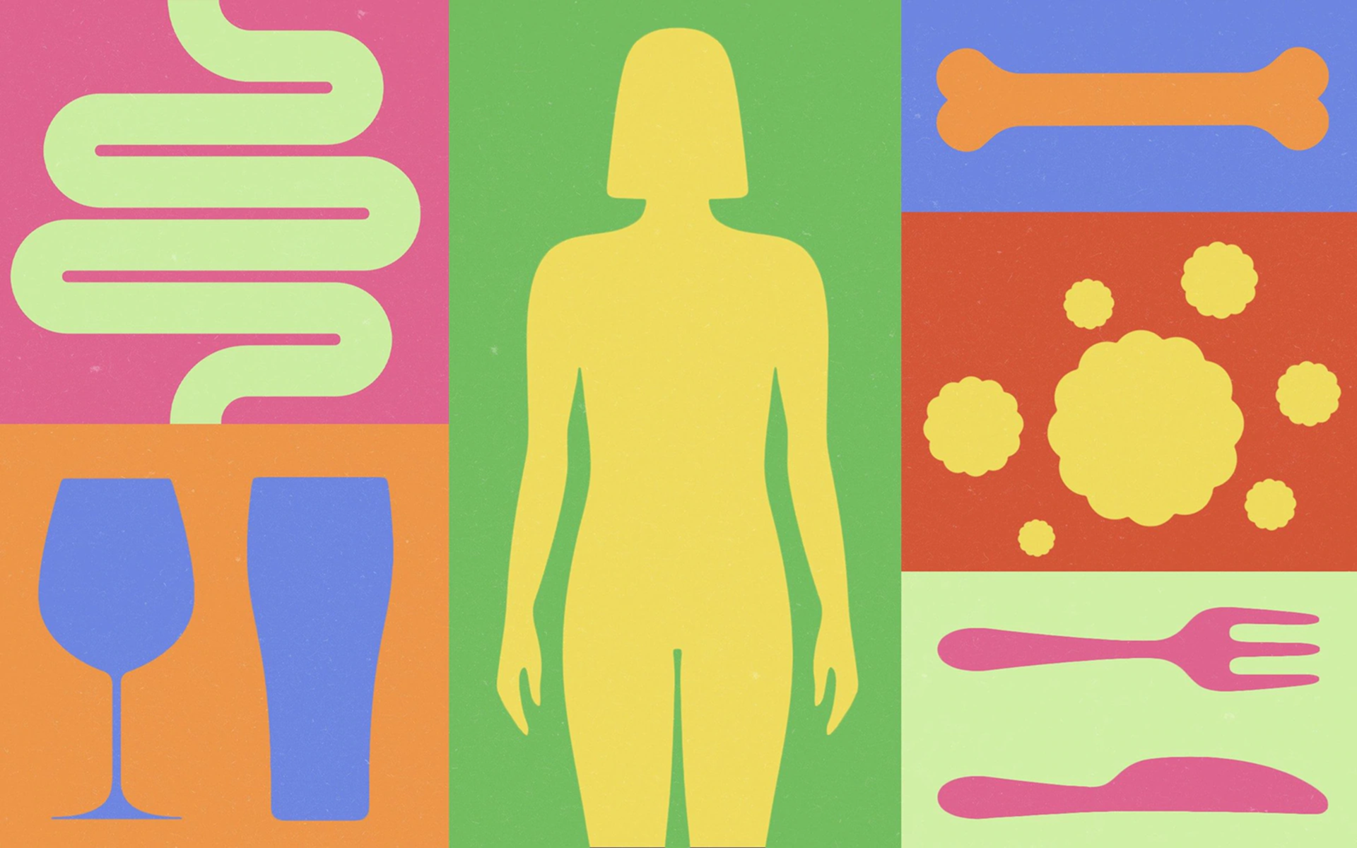  Phụ nữ dễ gặp các vấn đề liên quan đến tăng cân, loãng xương, ung thư, đường ruột và rượu bia — Ảnh: The Telegraph Design