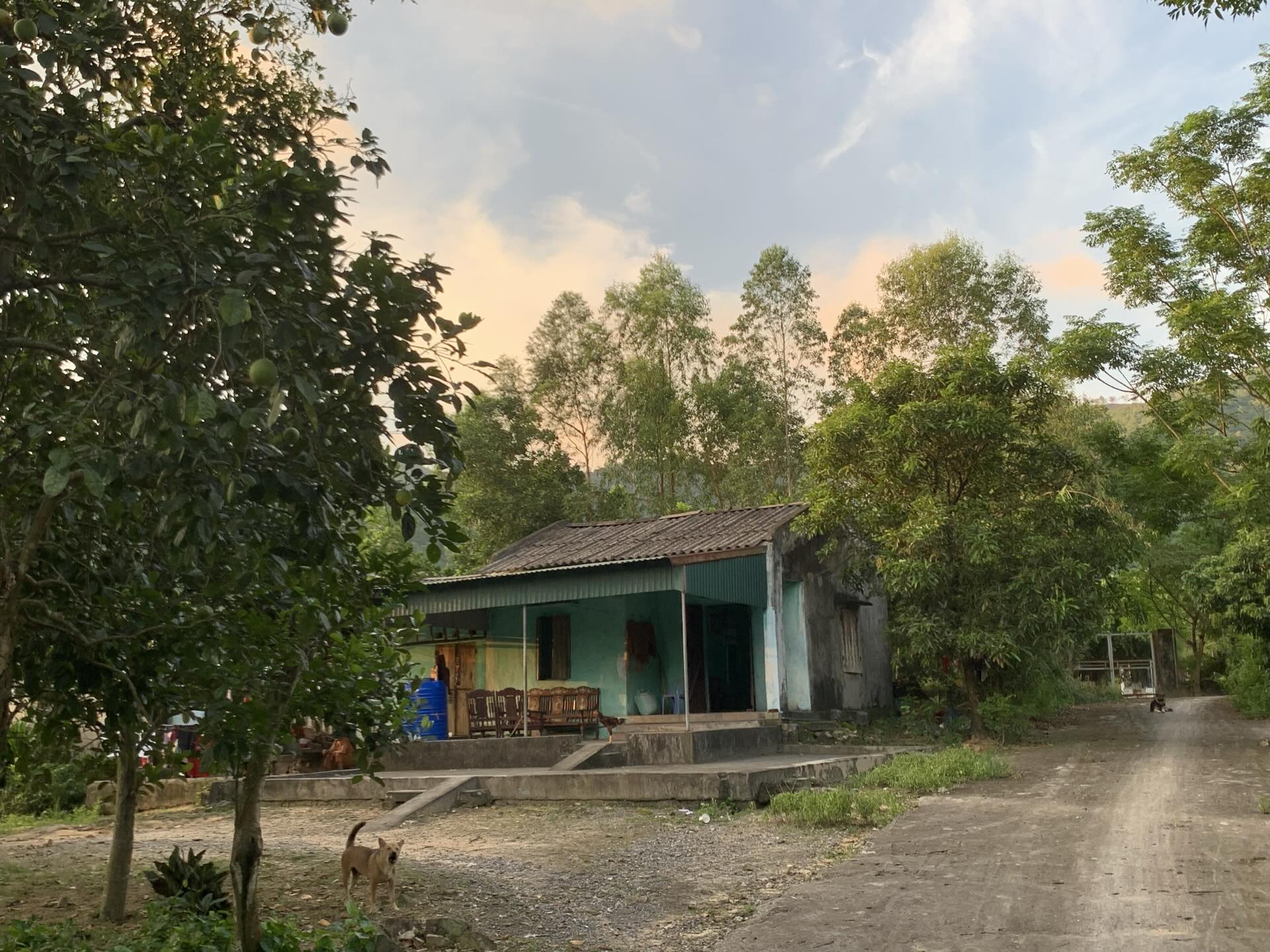 Tài khoản q_q.aaa chia sẻ ngôi nhà với bình luận nhà nghèo nhưng đó vẫn luôn là nơi đẹp nhất