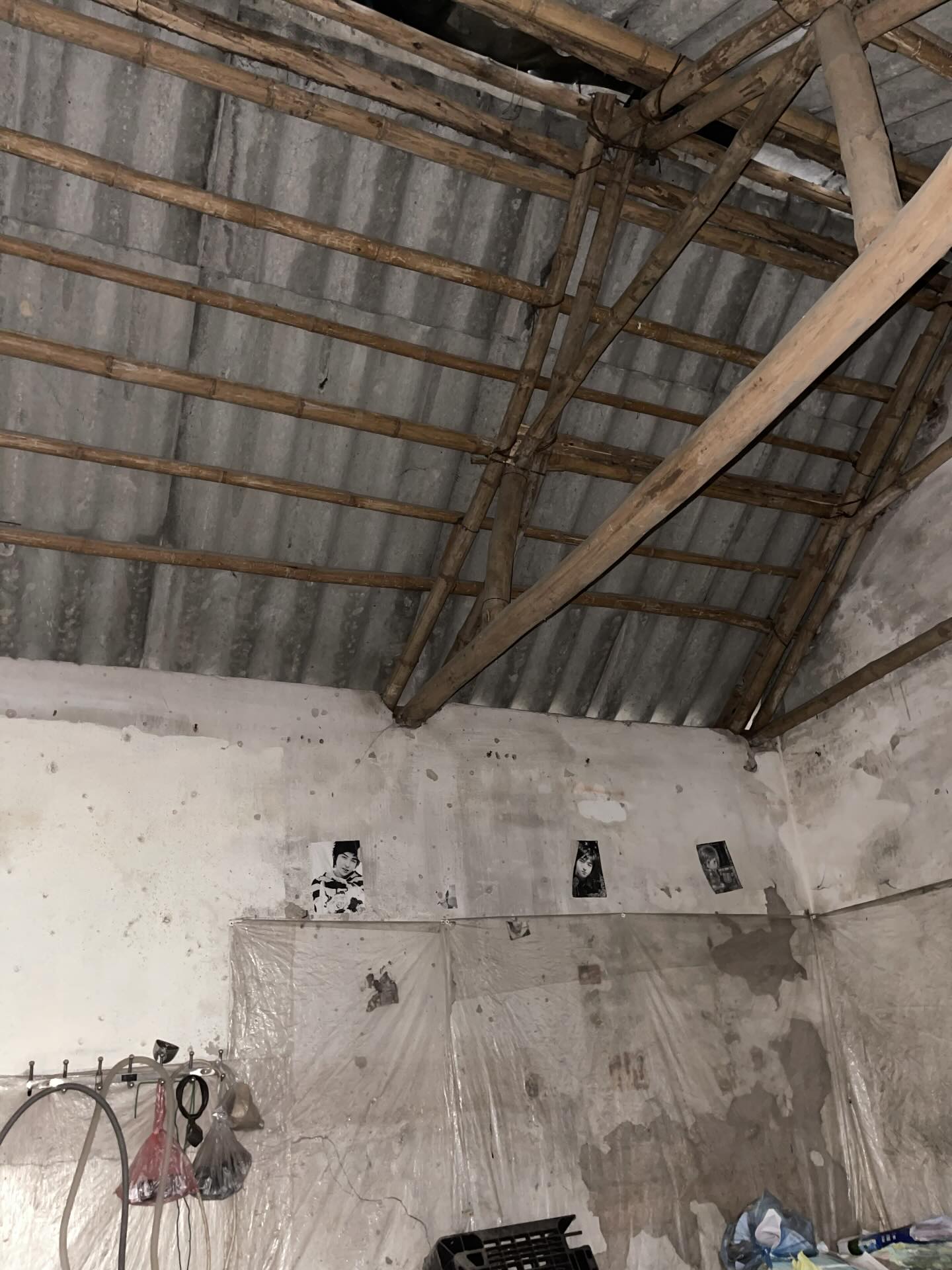 Ngôi nhà với nỗi ám ảnh chuột đến tận bây giờ của một bạn trẻ