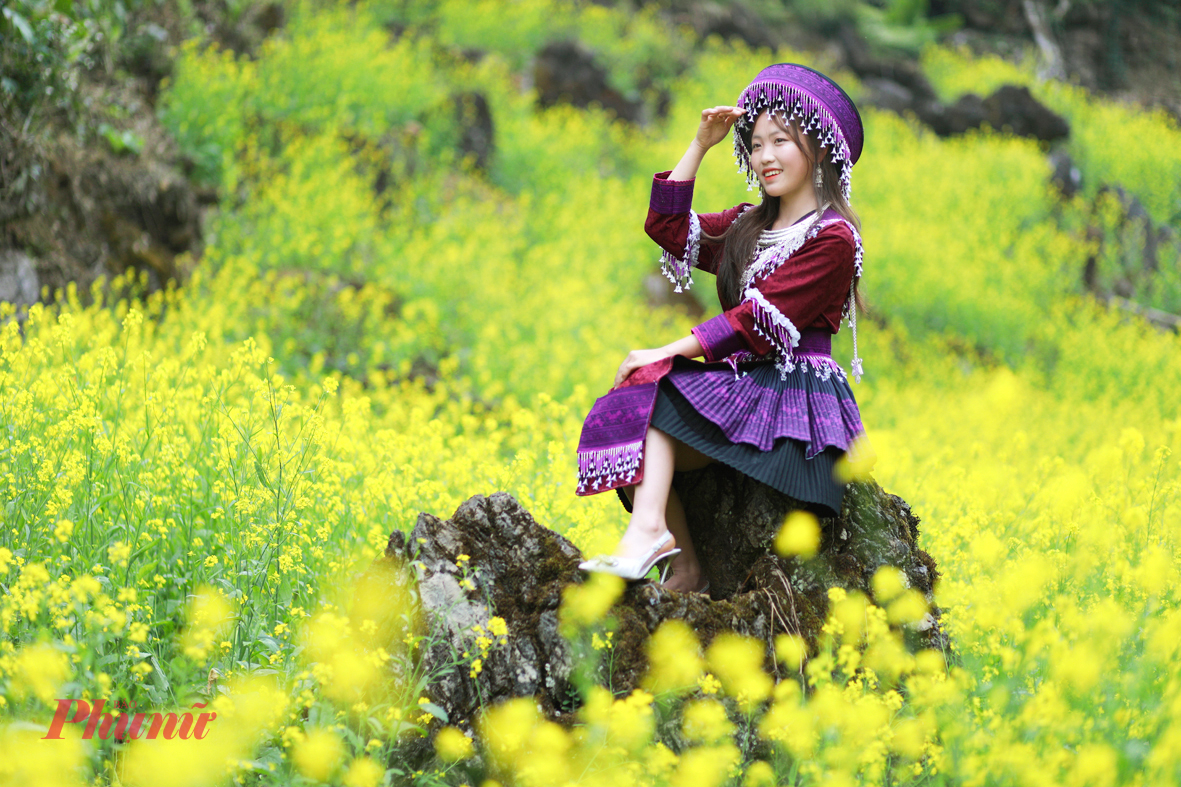 Những “nàng thơ” của núi rừng thong dong dạo bước giữa thảm hoa cải vàng tươi ngập nắng.