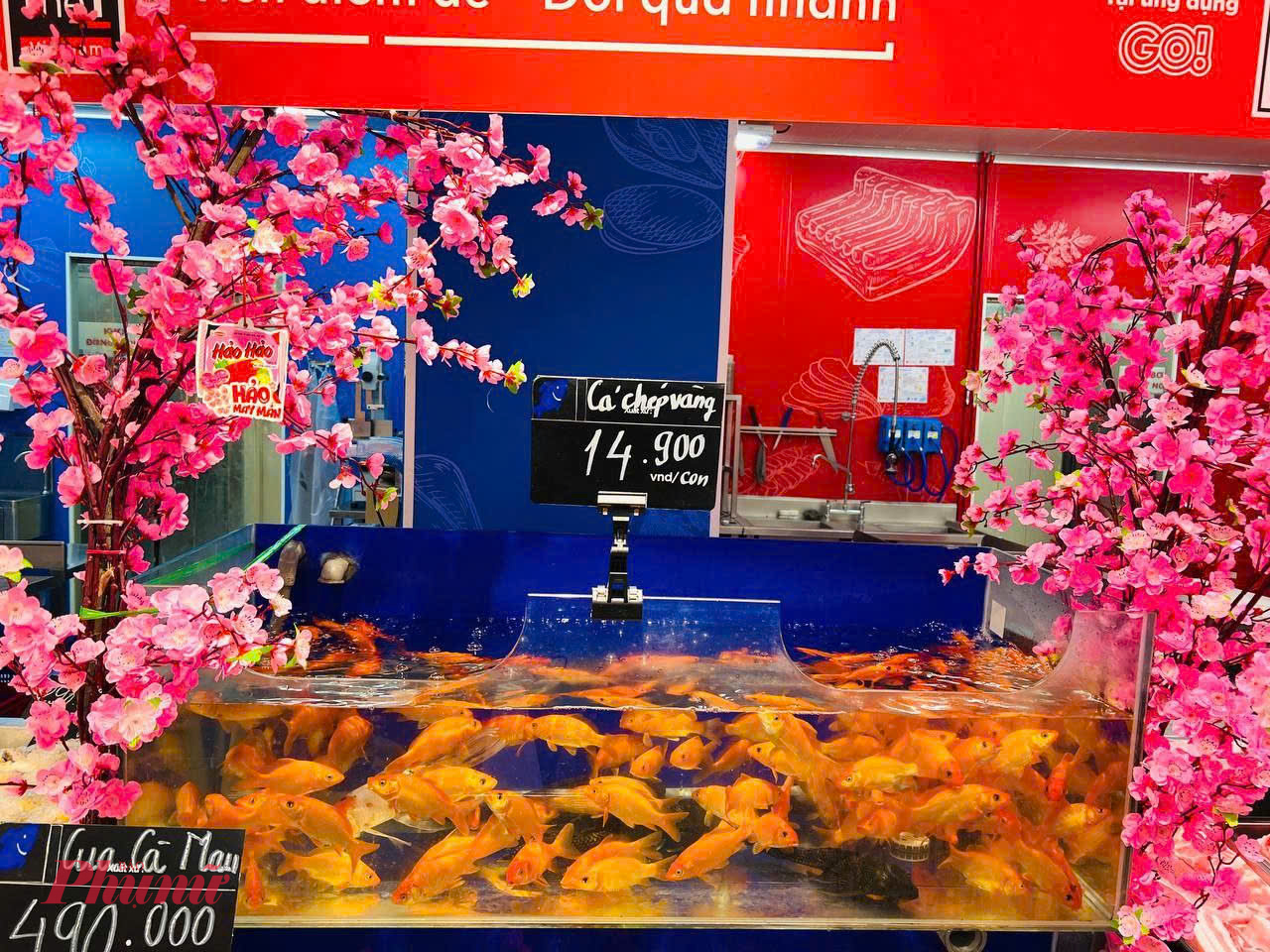 Theo nhân viên bán hàng, phần lớn người mua chọn đúng 3 con cá chép để thực hiện nghi thức tiễn Táo quân. Giá cá chép được siêu thị bán đồng giá 14.900 đồng/con; loại nhỏ hơn được khuyến mãi chỉ còn 8.800 đồng/con.