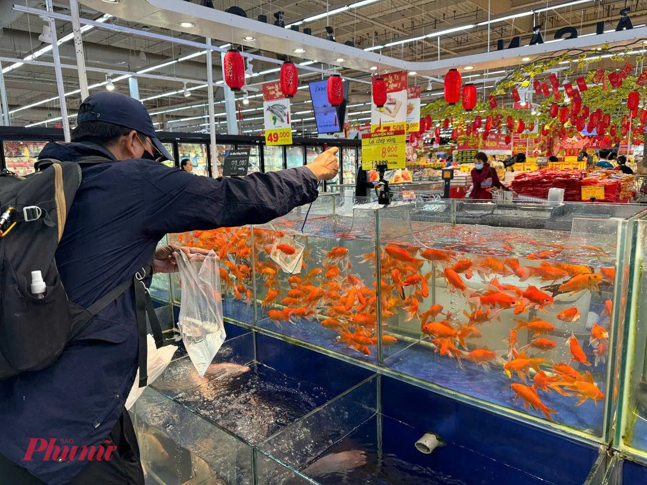 Không chỉ tại các chợ truyền thống, hệ thống bán lẻ hiện đại cũng tham gia phục vụ nhu cầu cúng ông Táo. Tại hệ thống GO!, cá chép vàng được bán trực tiếp trong khuôn viên siêu thị, bể cá bố trí sẵn để khách tự tay chọn cá. 