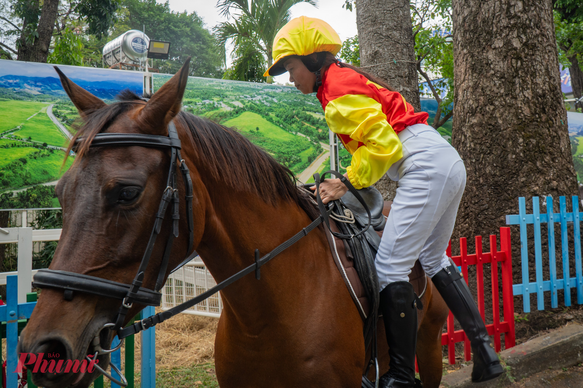 Các VĐV cũng sẽ mặt đồ bảo hộ khi lên cưỡi ngựa trình diễn cho du khách xem.