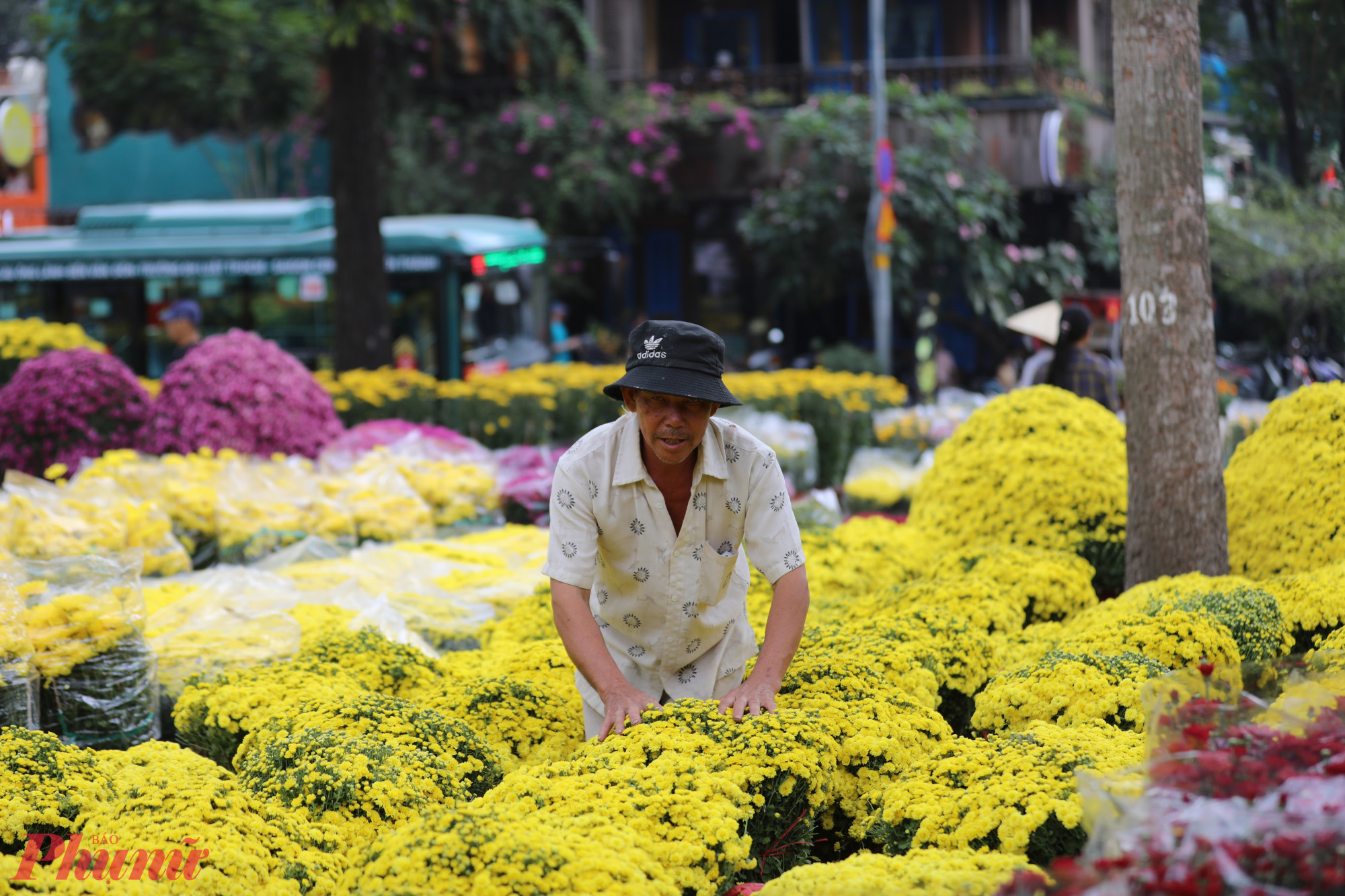 Tại Công viên 23/9, anh Nguyễn Văn Tư (Tiền Giang) – người có hơn 20 năm bán hoa tết tại đây – cho biết năm nay gia đình mang lên khoảng 1.000 giỏ hoa cúc các loại gồm cúc mâm xôi, cúc Hà Lan, cúc tiger.
