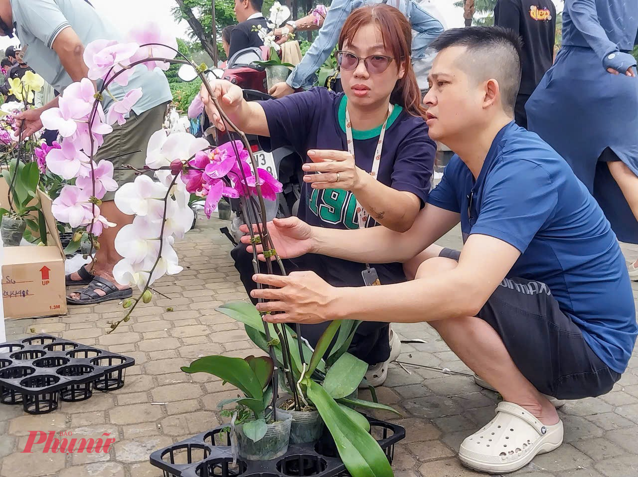 Lan hồ điệp nhiều màu được bày bán dọc lối đi, khách dừng lại xem, hỏi giá và chốt mua liên tục.