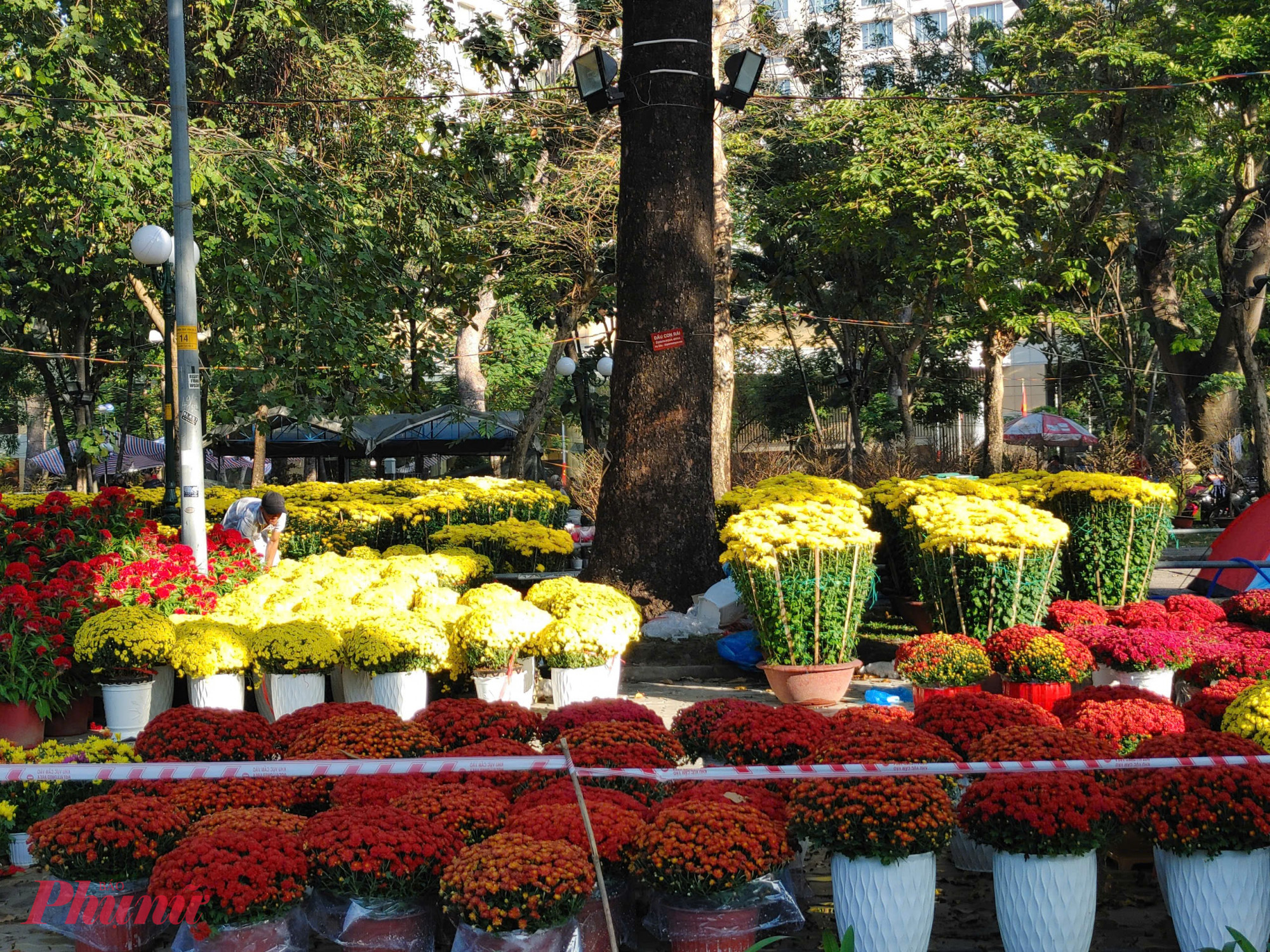 “Giá bán năm nay khoảng 200.000 đồng/cặp, giữ mức ổn định so với năm trước để dễ bán. Từ ngày 20 âm lịch đến nay đã bán được hơn một nửa, khách chủ yếu mua chưng trước nhà hoặc đặt trước cửa tiệ