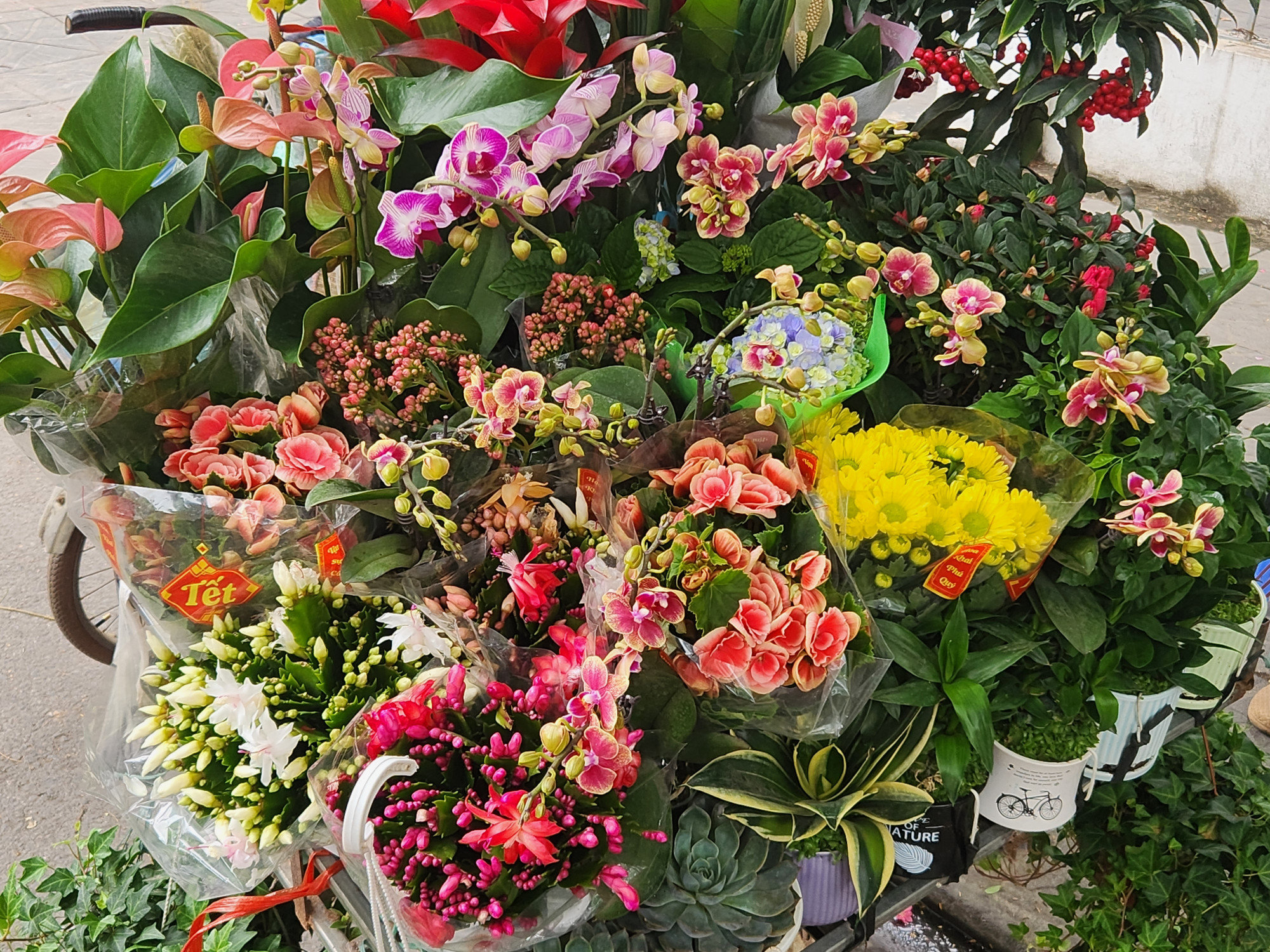 Tết để trở về Những xe hoa báo đầy màu sắc báo hiệu Tết đến gần - Ảnh: T.A