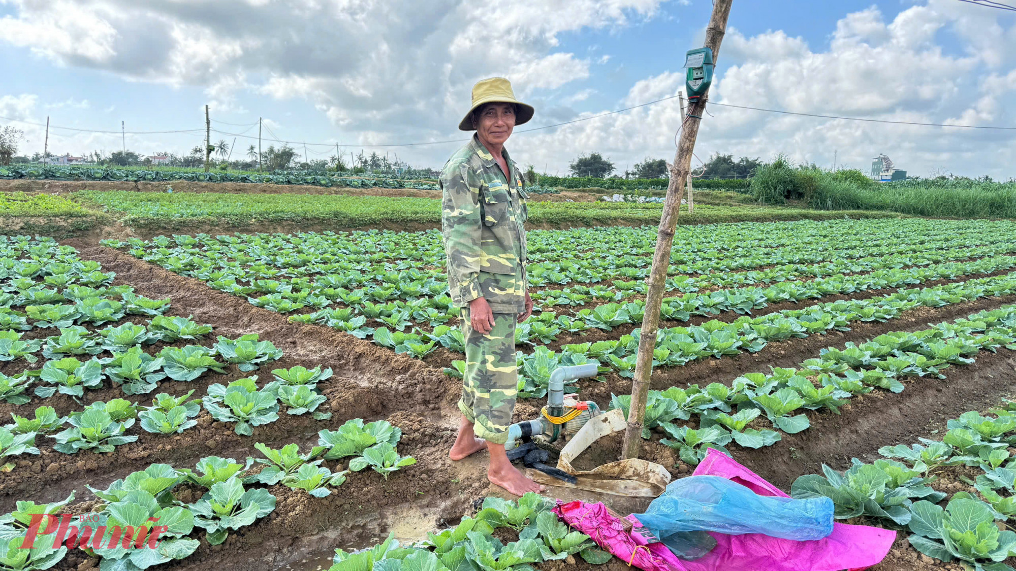 Ông Lê Văn Chương (thôn Hổ Tiếu) cho biết năm nay gia đình ông xuống giống hơn 6 sào, chủ yếu là xà lách và cải. Mỗi sào rau đầu tư hơn 3 triệu đồng (chưa tính công), năng suất đạt khoảng 1 – 1,2 tấn. Với giá thương lái thu mua chỉ 800 – 1.000 đồng/kg, số tiền thu về không đủ bù chi phí.