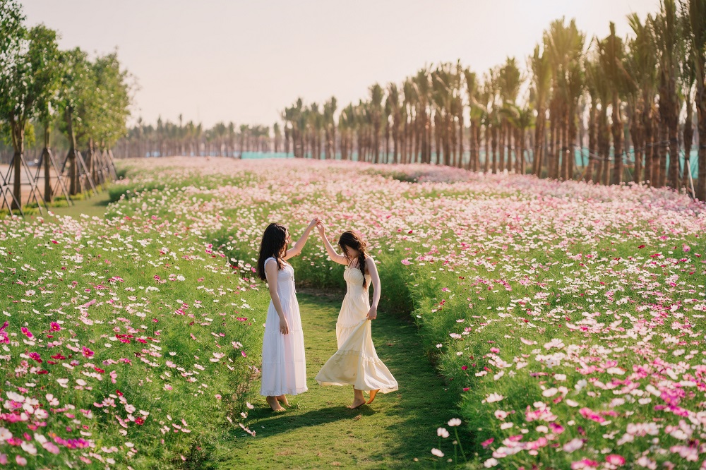 Ecopark tràn ngập sắc hoa tại các đại đô thị khắp 3 miền dịp tết Bính Ngọ 2026 Check-in, vui chơi tại cung đường vạn hoa Eco Central Park - Ảnh: Ecopark