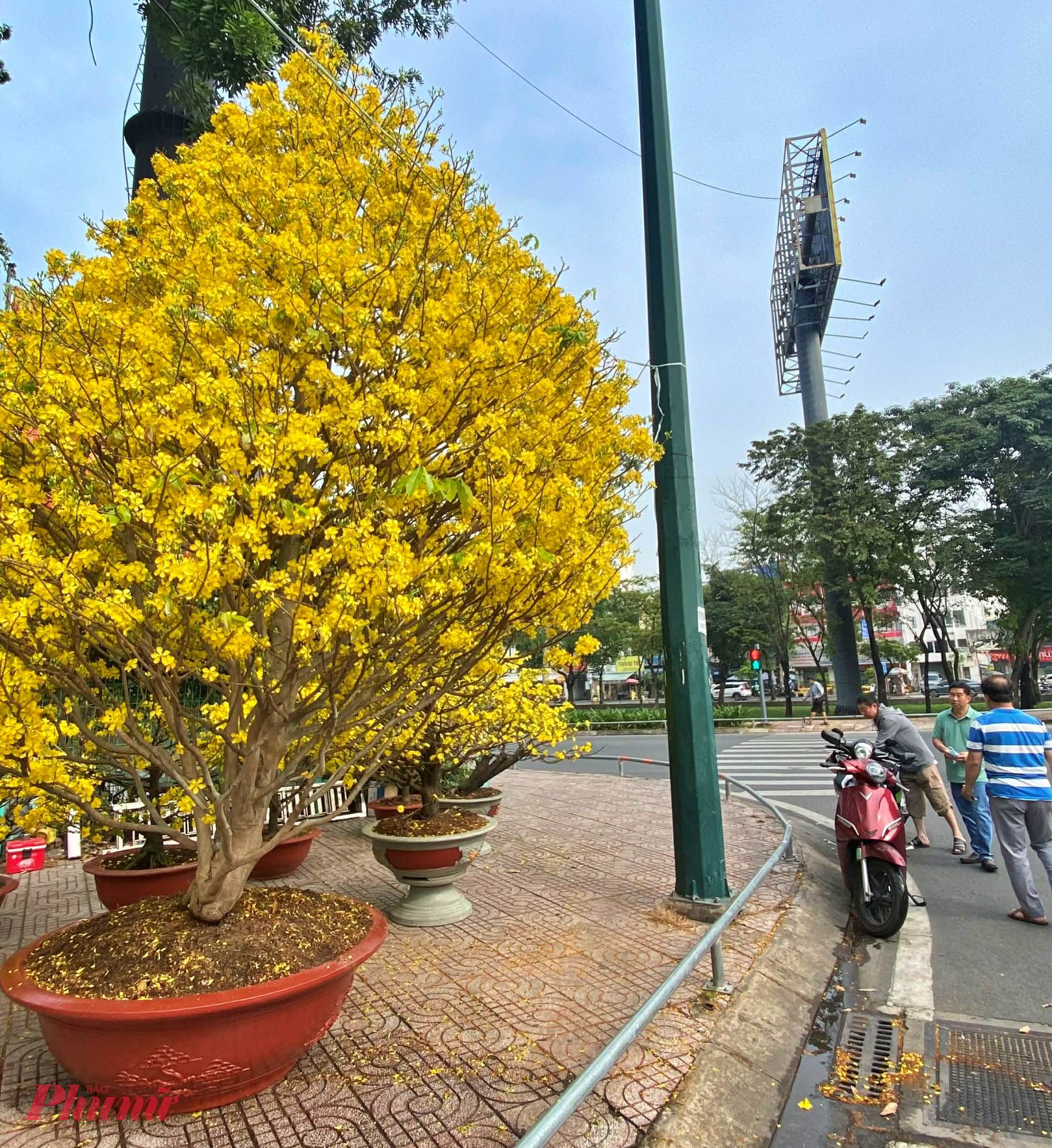 Không ít người đi xe máy đã tấp vào lề đường để chụp hình “check-in”, ghi lại khoảnh khắc rực rỡ những ngày cuối năm.