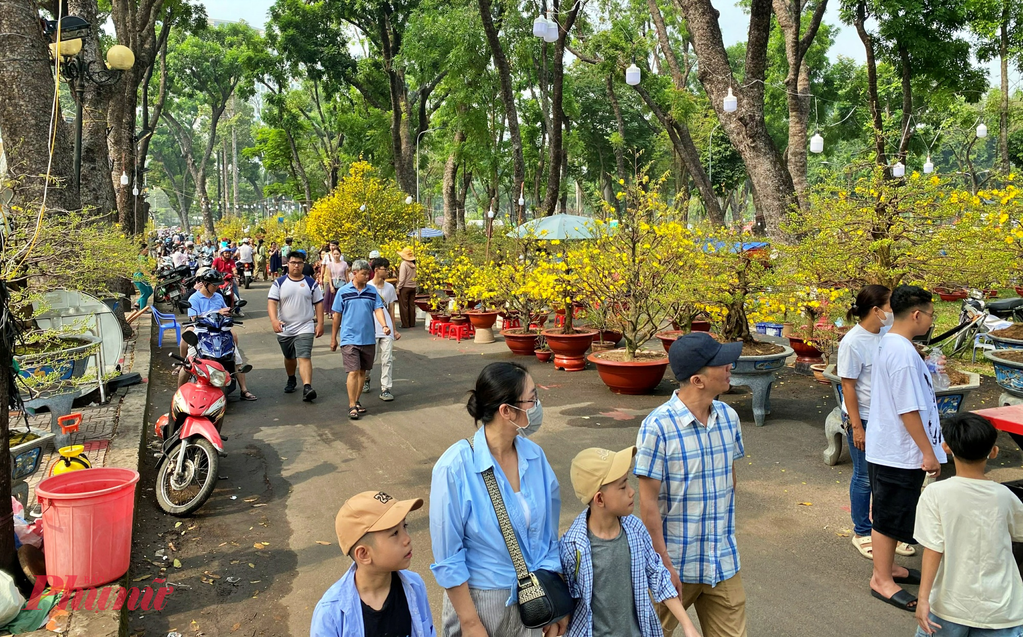 Những ngày cận Tết Bính Ngọ 2026, chợ hoa xuân tại công viên Gia Định (phường Hạnh Thông, TPHCM) trở nên nhộn nhịp hơn khi nhiều chậu mai đồng loạt bung nở vàng rực.