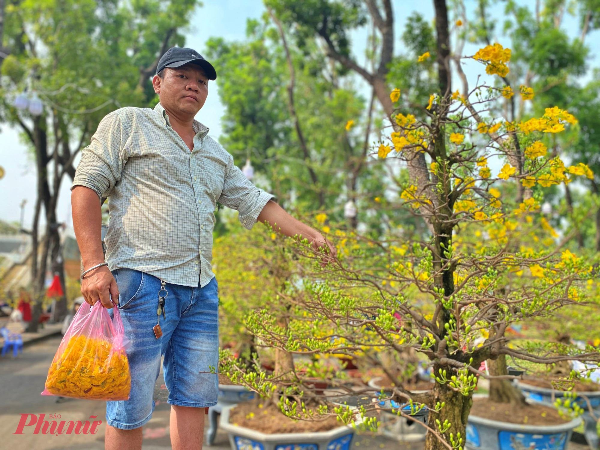 Năm nay do mưa bất chợt vào chiều 24 tháng Chạp, ngày hôm sau nhiều cây mai đã dần nở rộ sớm khiến nhà vườn lo lắng.