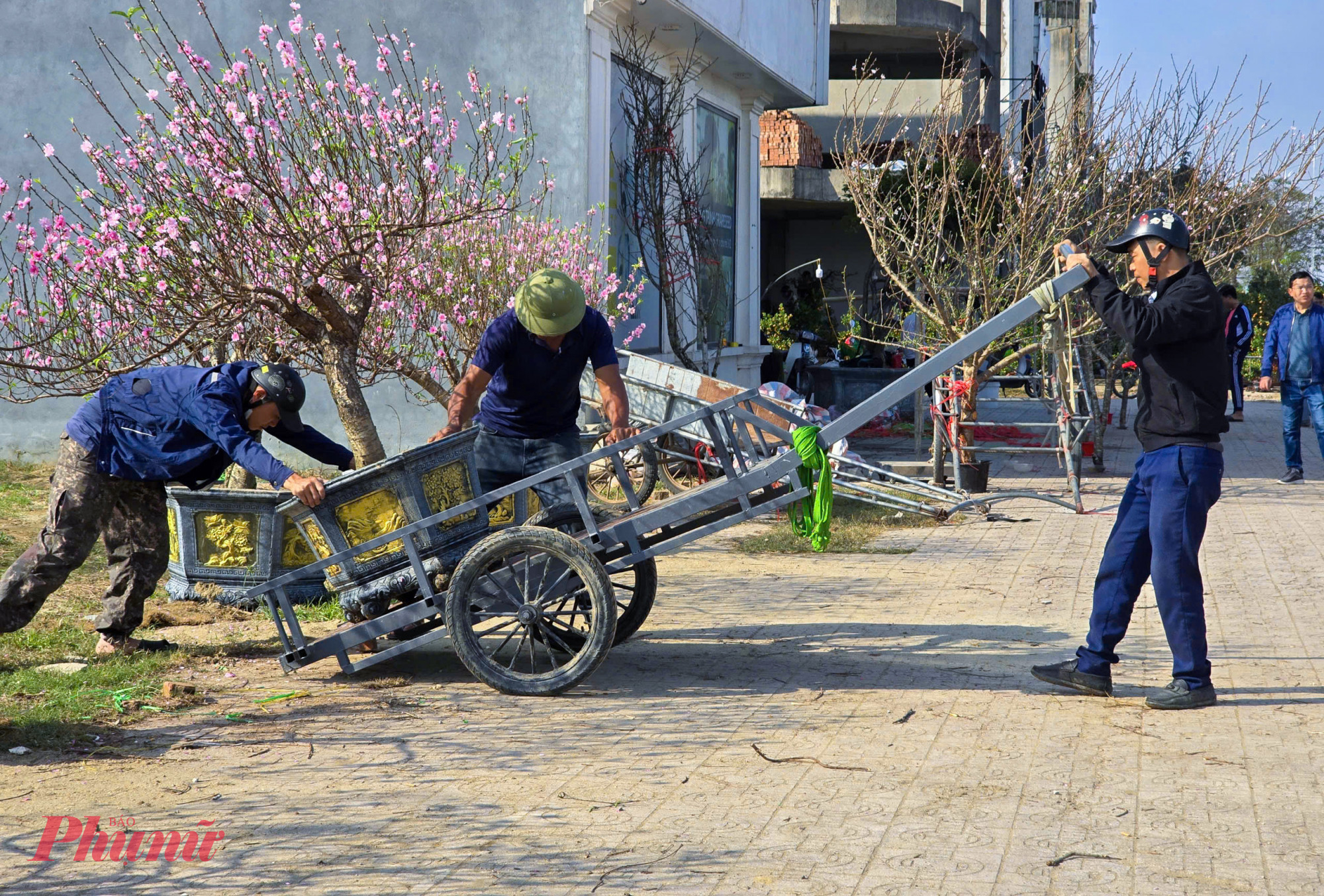 Ông Nguyễn Quốc An (chủ một điểm bán đào ở phường Vinh Phú) cho biết, nhiều gốc đào cổ thụ không bán được buộc phải chở về vườn chăm sóc lại, chờ mùa sau. “Những cây đào còn nụ thì hy vọng 2 ngày tới bán rẻ được. Còn đã nở hết thì buộc phải đưa về vườn chờ năm sau chứ không còn cách nào khác” - ông An nói.