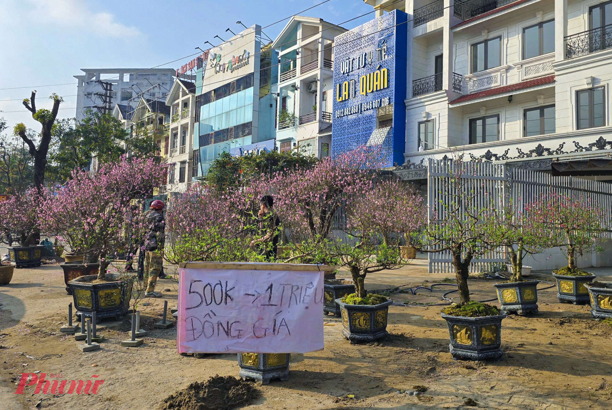Vắng khách, nhiều người bán đào, mai, quất… treo biển giảm giá sâu, đồng giá, xả hàng với hy vọng sớm bán hết hàng để về quê đón tết.