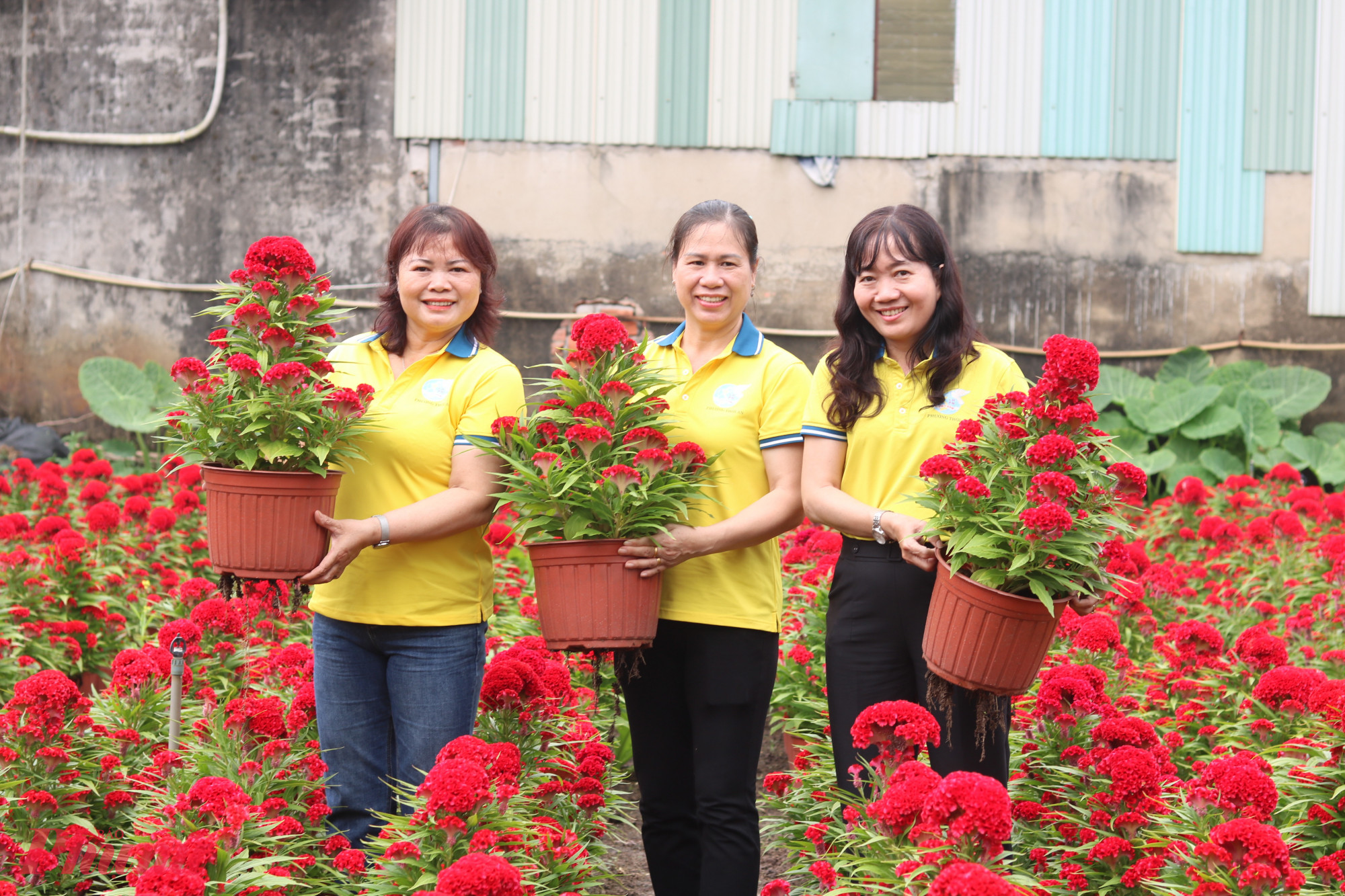 Bà Nguyễn Thị Thu Hà – Phó chủ tịch Hội LHPN phường Thới An (bìa phải) cùng các chị em chuẩn bị hoa để chở đi tặng các hộ dân khó khăn - Ảnh: Thảo Nguyên