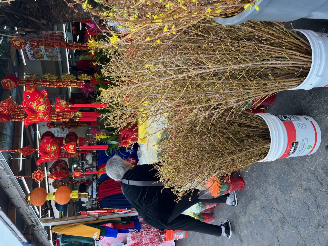 Kiều bào chọn mua hoa chưng tết ở chợ Hòa Bình – Nam California. Ảnh: L.N