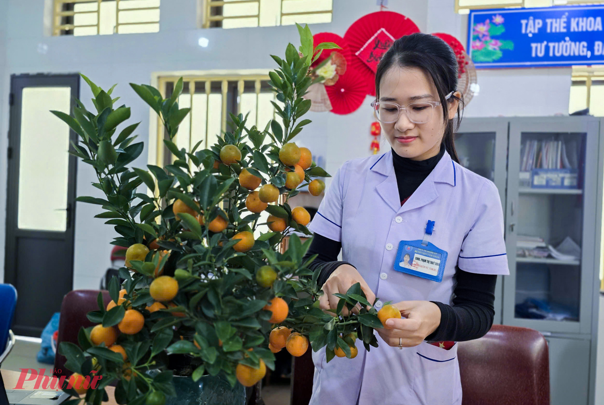 Điều dưỡng Dung chăm sóc chậu quất trong phòng trực