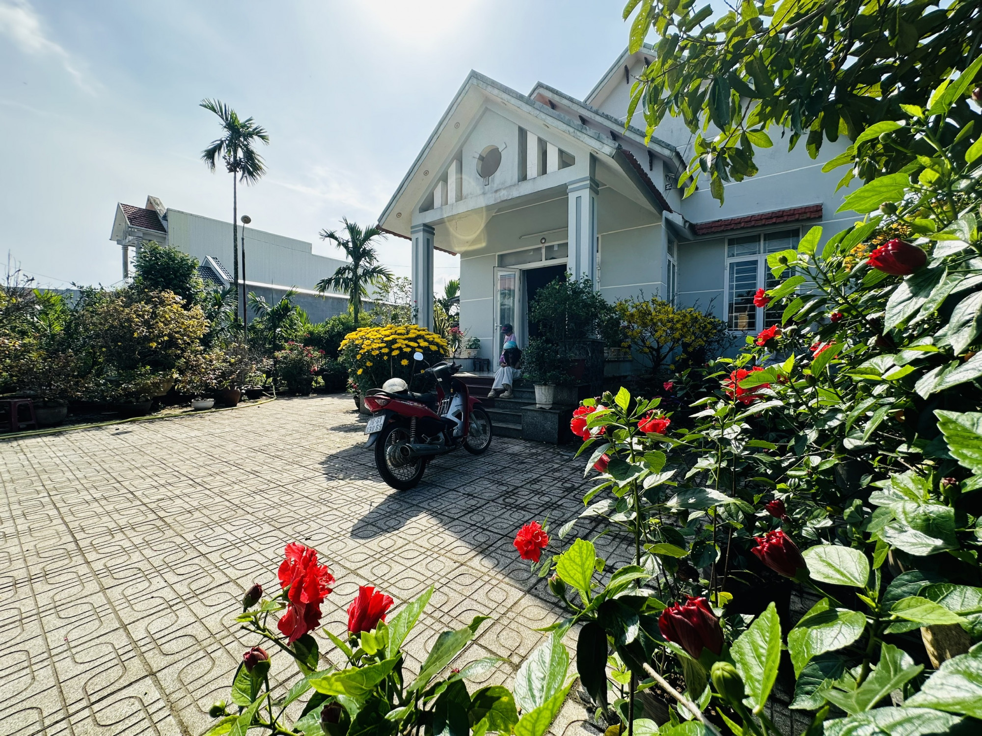 Vườn hoa là tâm huyết của hai vợ chồng bác.