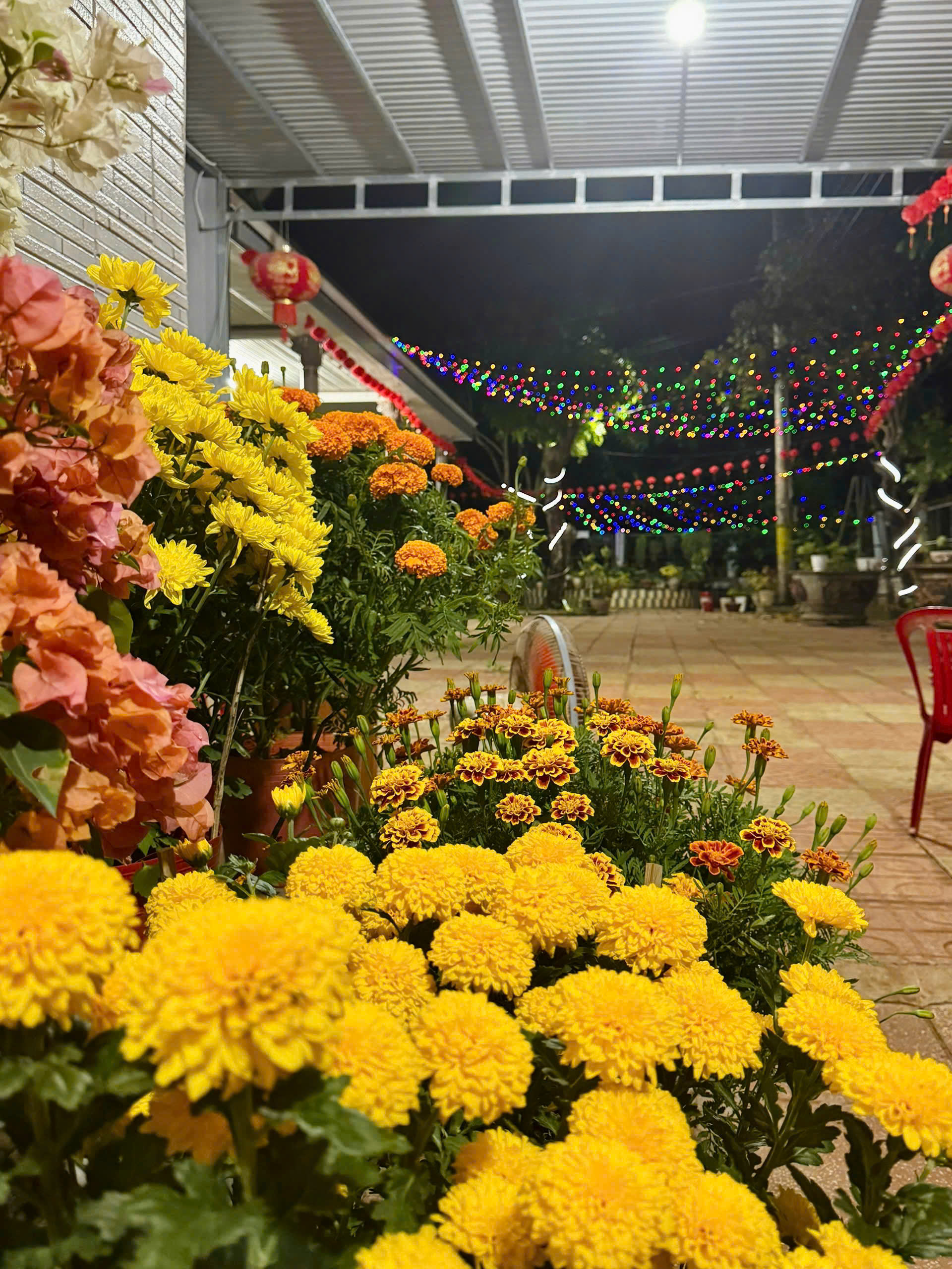 Những chậu hoa nhẹ nhàng khoe sắc thắm bên hiên nhà, ấy không chỉ là sắc xuân, mà còn là sự thong dong của mẹ sau khi chấp nhận sự đổi thay (ảnh: tác giả cung cấp)