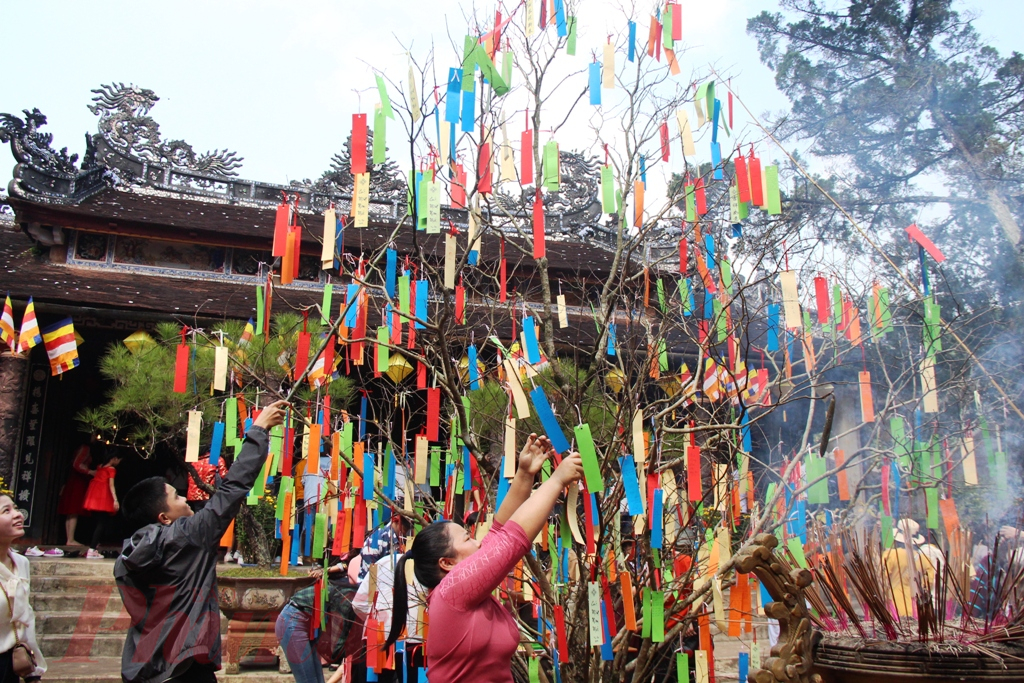 Hái lộc đầu năm về bản chất vốn là một nét đẹp trong văn hoá Tết của người Việt - Ảnh: PNO