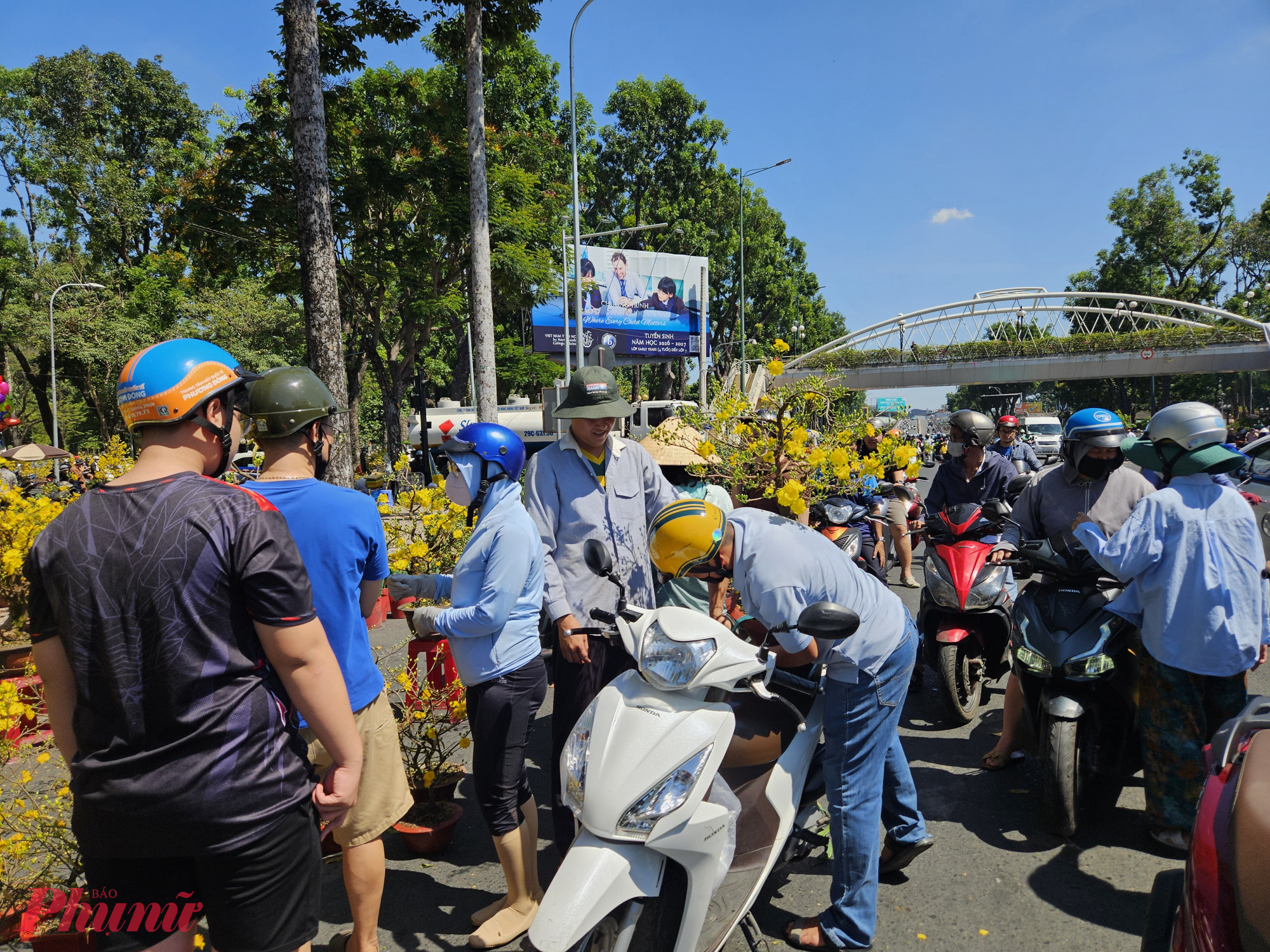 Đa phần người mua chạy xe máy đến tận điểm bán, dựng xe sát lề đường rồi nhanh chóng chọn hoa. Lượng xe đỗ dọc tuyến Hoàng Minh Giám nối dài, tạo nên khung cảnh mua bán nhộn nhịp