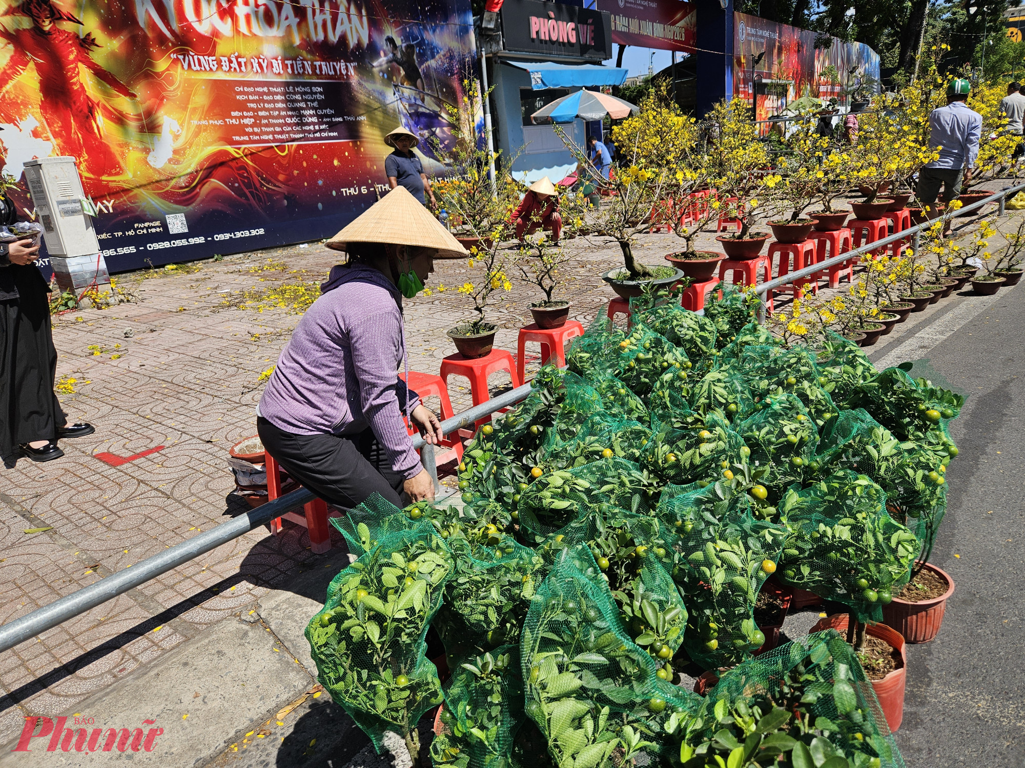 Tiểu thương này cho biết, do mấy ngày trước sức mua chậm nên chỉ đem tới vài chục chậu. May mắn là từ sáng nay lượng người hỏi mua đã tăng lên,  