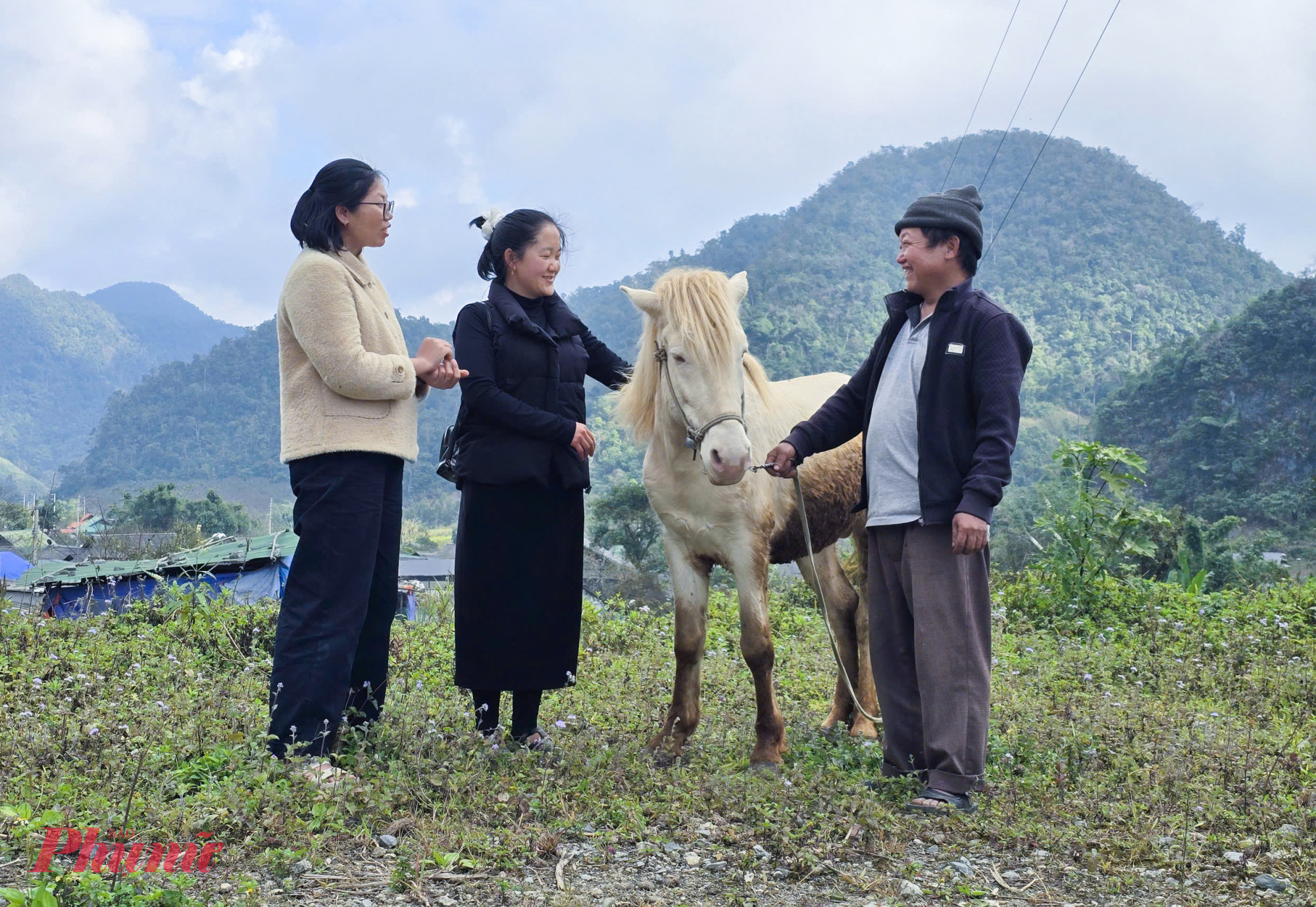 Lo giống quý dần biến mất, ông Và Bá Chư nỗ lực nhân giống ngựa để bảo tồn và phục vụ du lịch ở địa phương