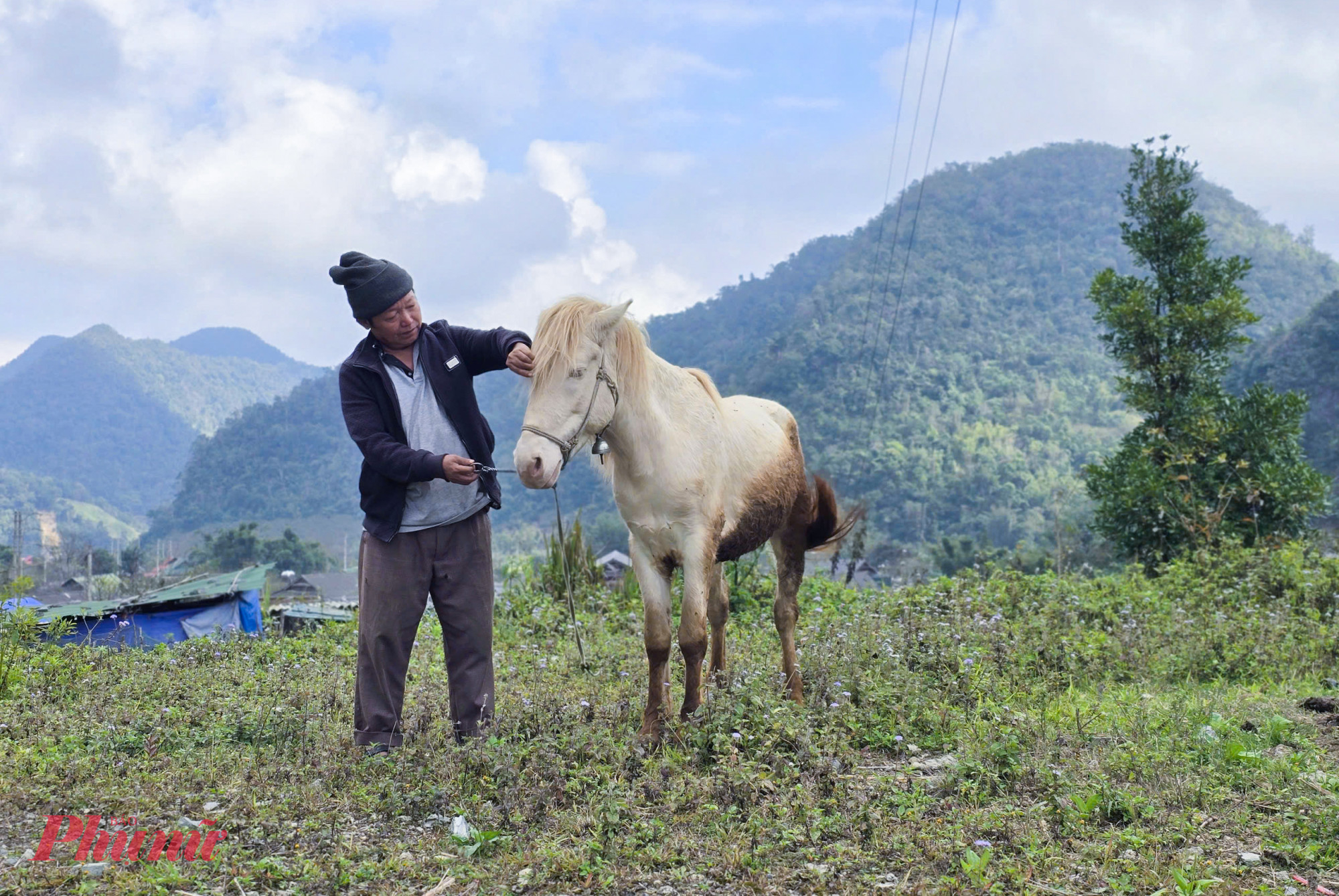 Với đồng bào người Mông ở Nghệ An, ngựa từng là phương tiện di chuyển và vận chuyển hiệu quả nhất trong đời sống 