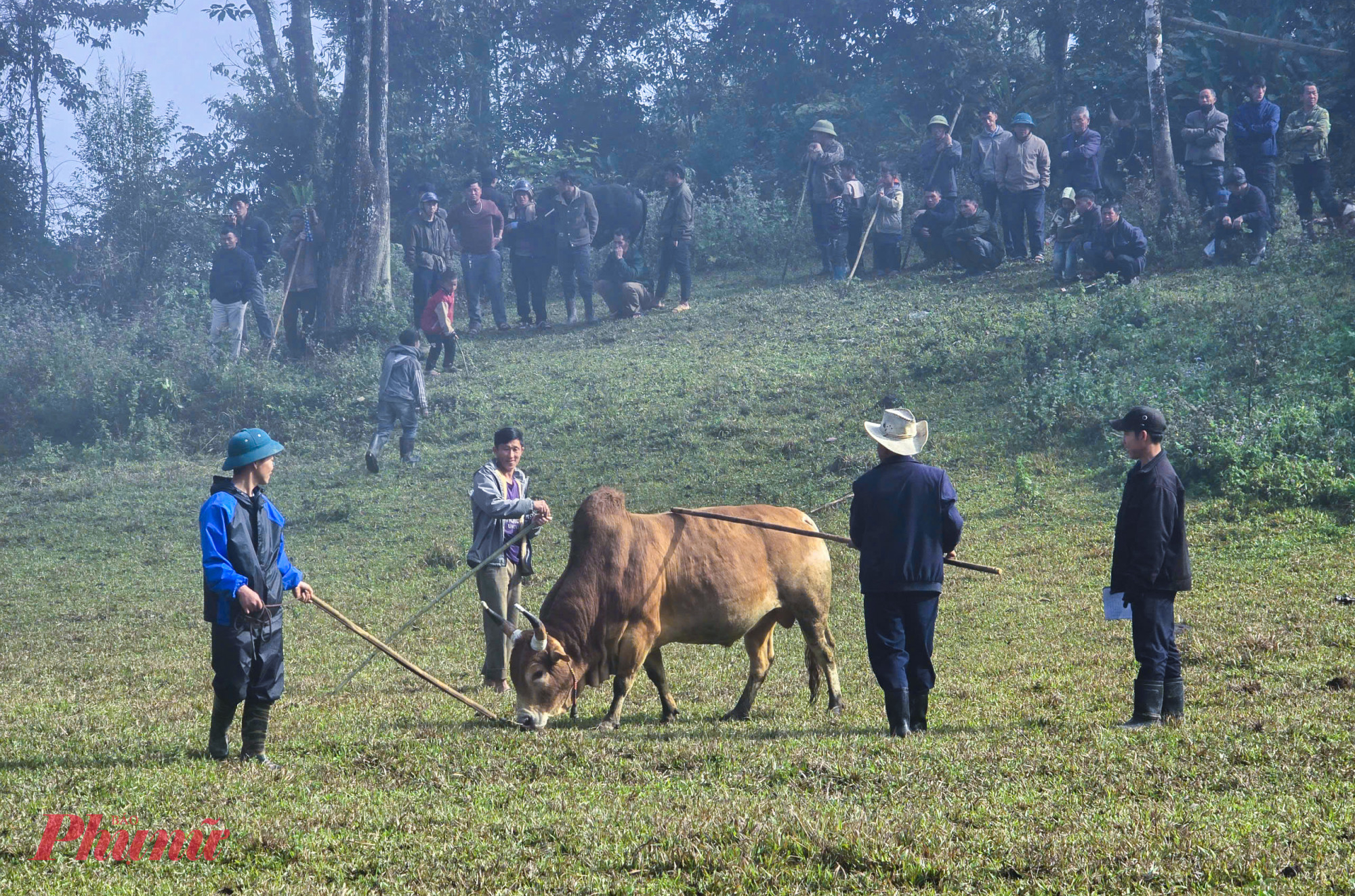 Để lễ hội diễn ra an toàn, trai tráng trong bản cùng lực lượng chức năng luôn túc trực, trang bị các dụng cụ cần thiết để kịp thời khống chế những “đấu thủ” quá sung sức. 