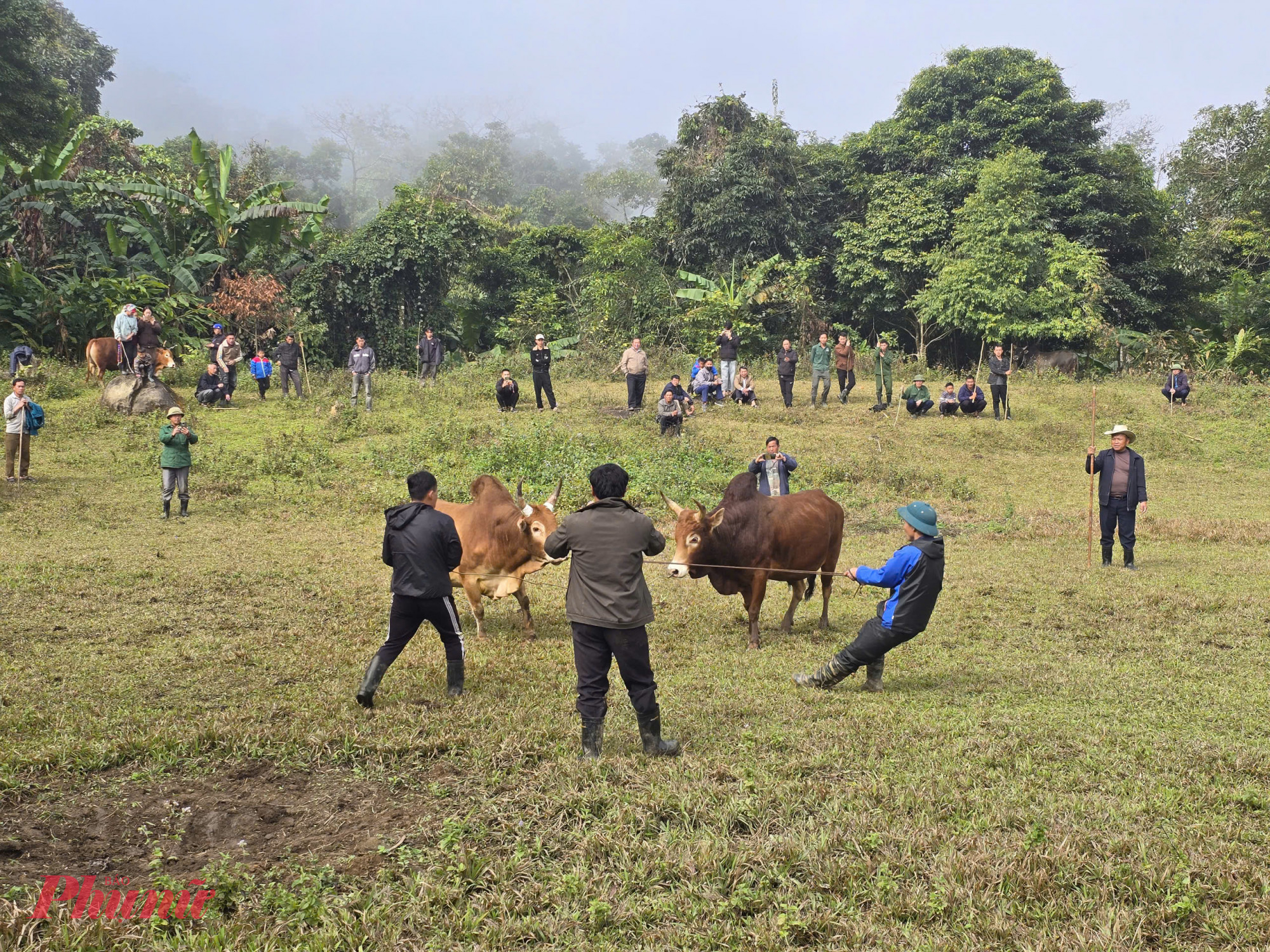 Vào những dịp ấy, gia đình có việc sẽ đứng ra lo liệu toàn bộ cho ngày “hội bò chận”, gửi thiệp mời chủ bò từ khắp nơi về tham gia. Khi cuộc chọi khép lại, các chủ bò được mời ở lại chung vui bữa cơm thân mật. “Ngày vui của gia đình mà có hội chọi bò thì bà con đến dự đông đủ, không khí mới thật sự rộn ràng” - ông Bó chia sẻ.