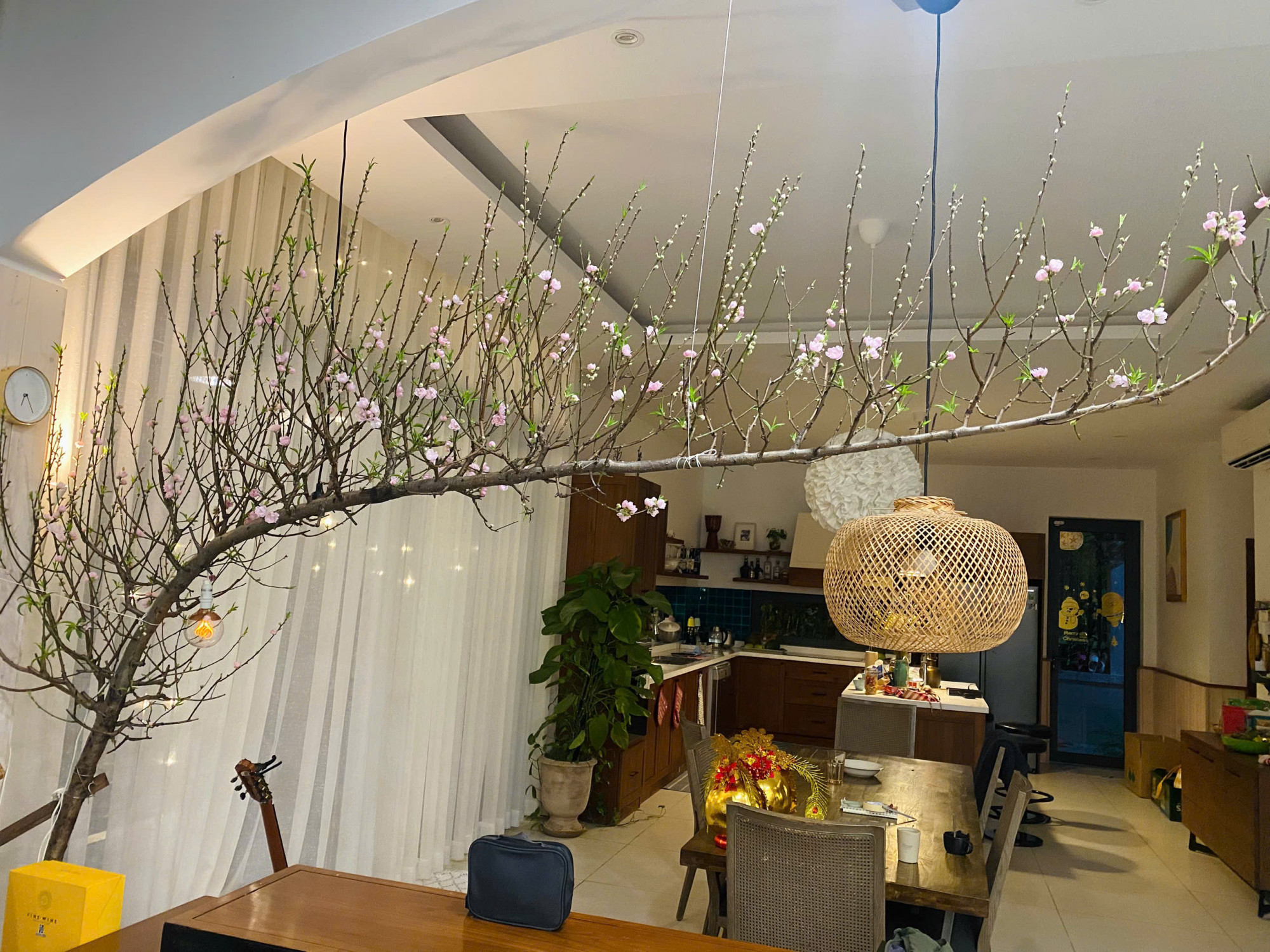 Cành đào nở muộn nhưng rất đúng thời điểm với gia đình tôi. Ảnh: Lê Dung