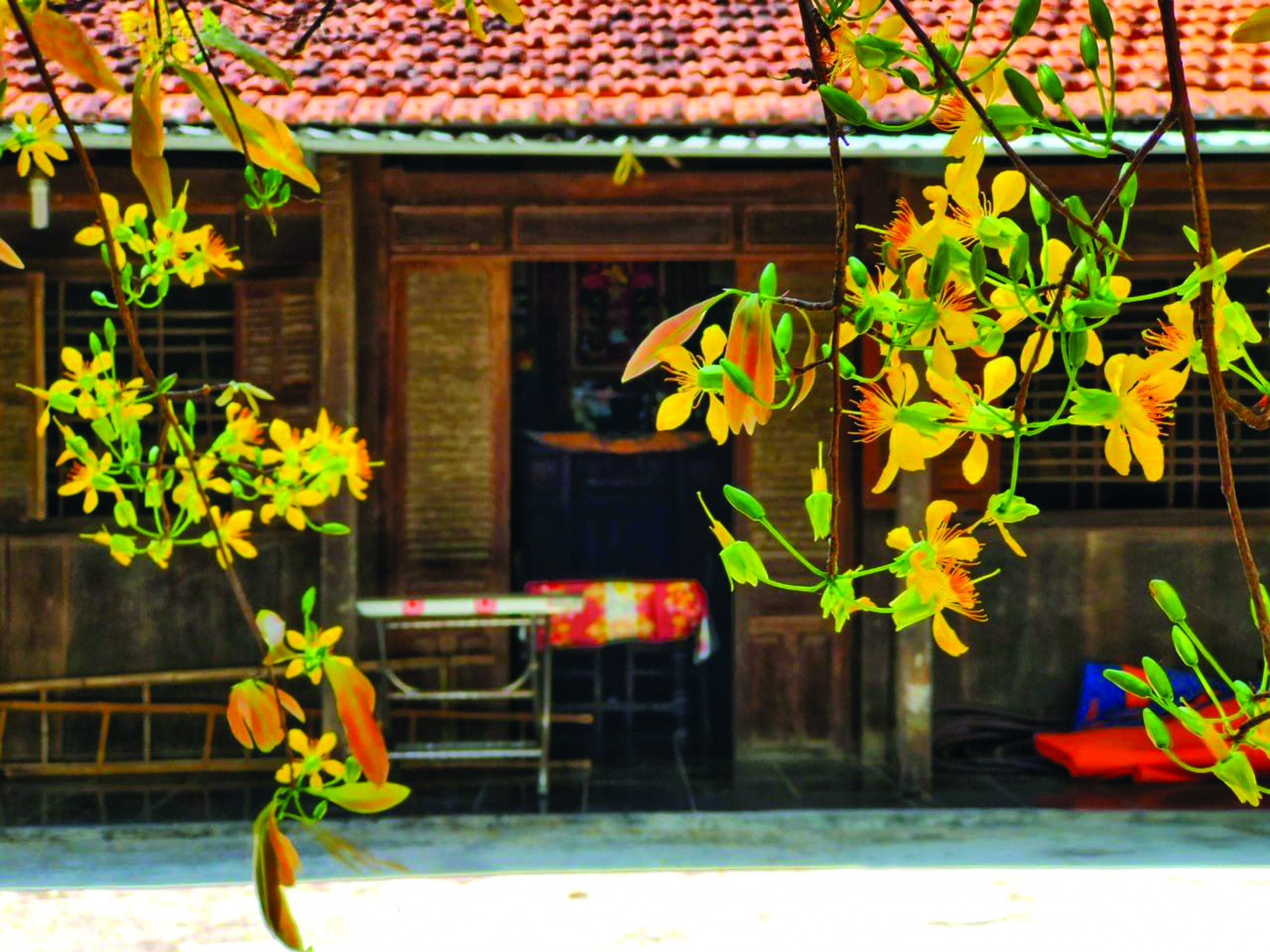 .Mùa xuân là mùa đoàn viên, sum họp nhưng cũng có những ngày không còn một mái nhà ấm áp để trở về..