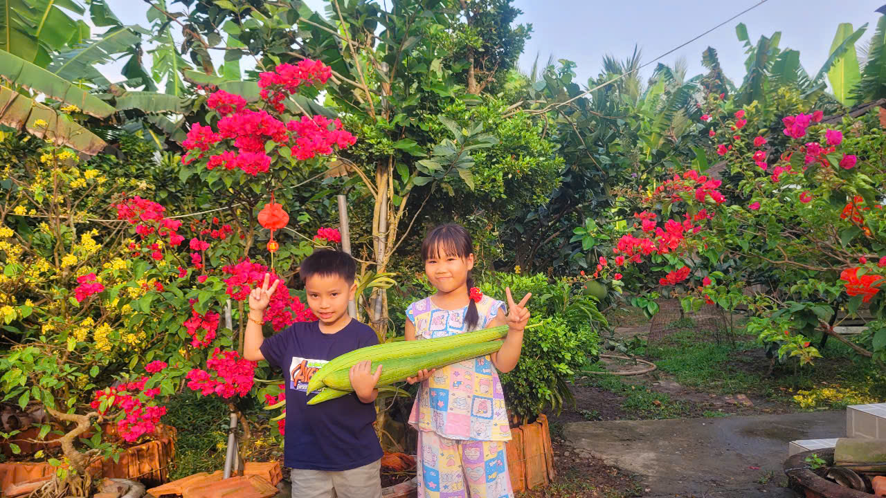Con trai và cháu tác giả cùng mướp hương vừa được thu hoạch trong vườn. Ảnh: Ngọc Nữ