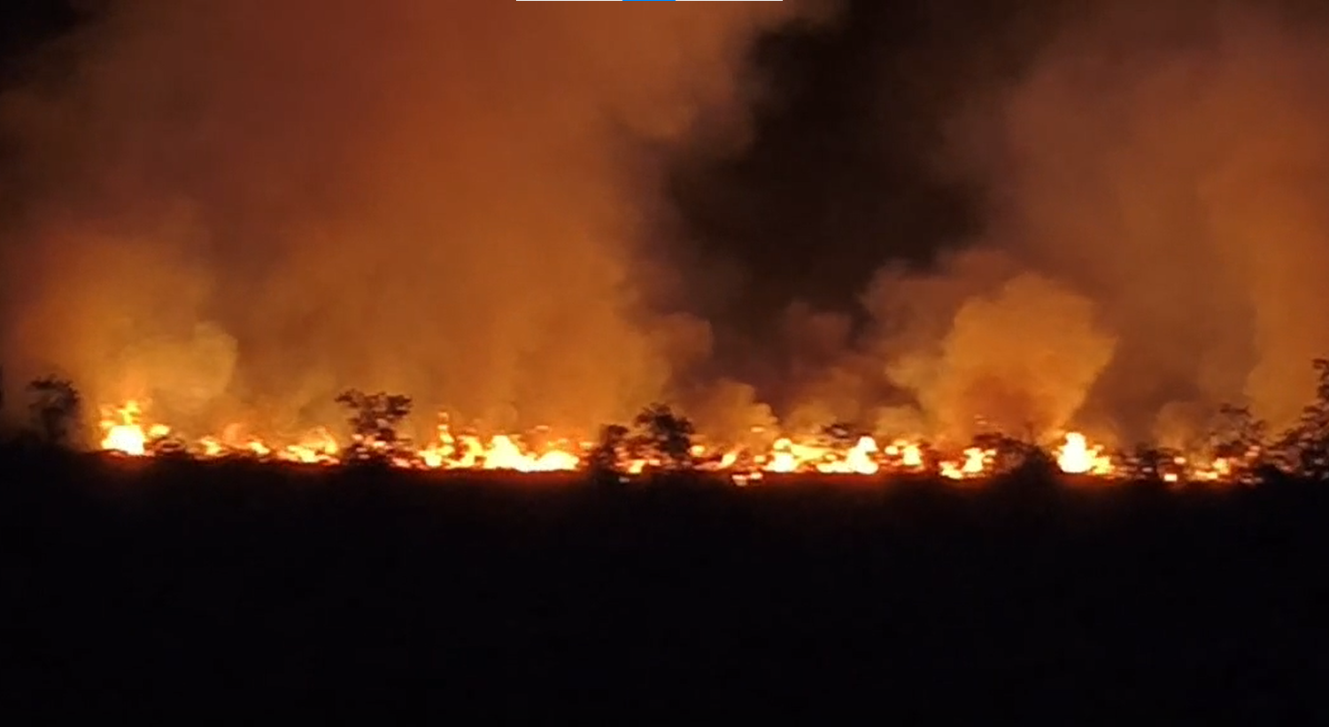 Đám cháy tại Khu bảo tồn Loài - Sinh cảnh Phú Mỹ, xã Giang Thành - Ảnh Cắt từ clip