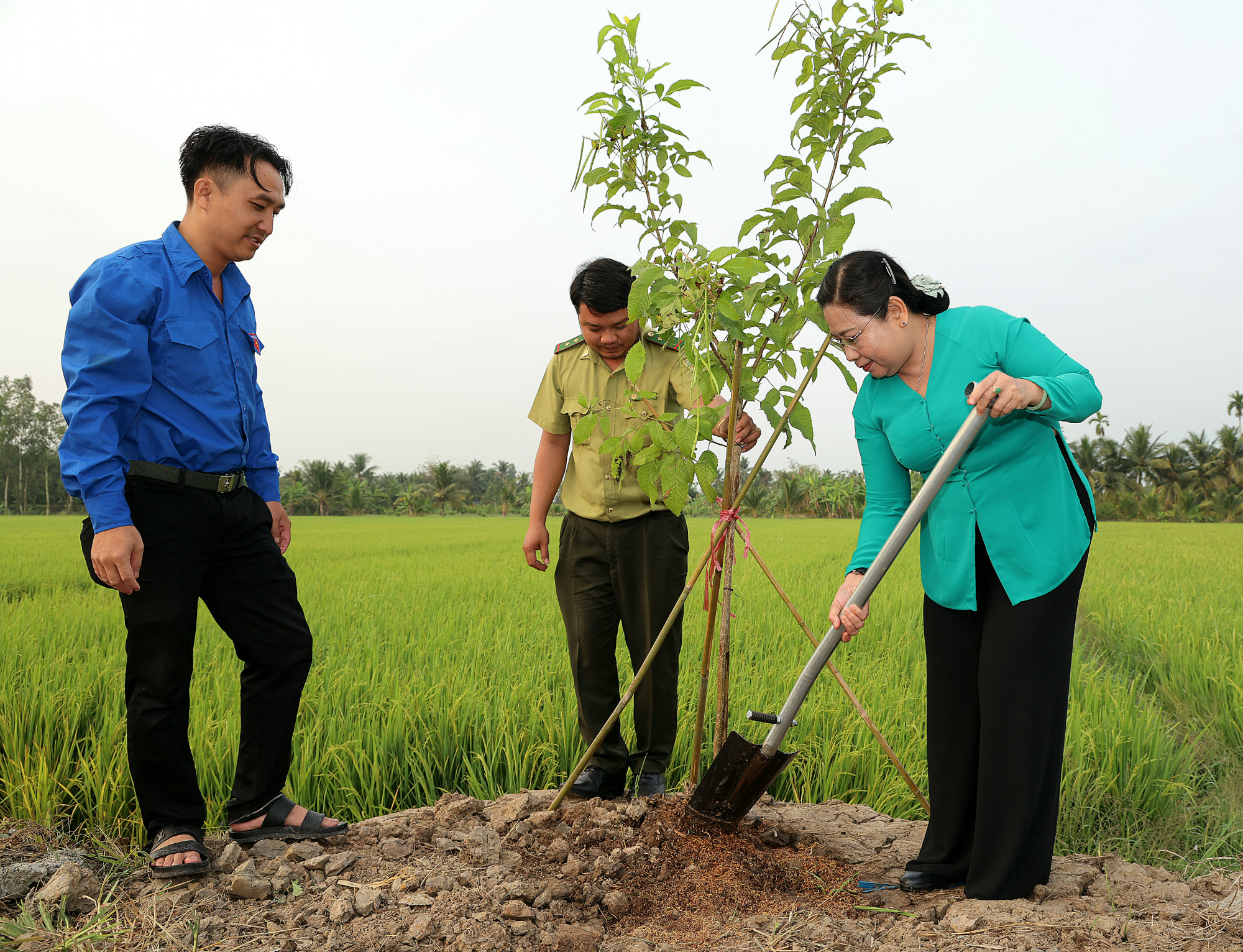 UBND TP Cần Thơ phát động “Tết trồng cây” năm 2026, tại tuyến đường 926B, xã Tân Hòa… Ảnh: Trung Phạm