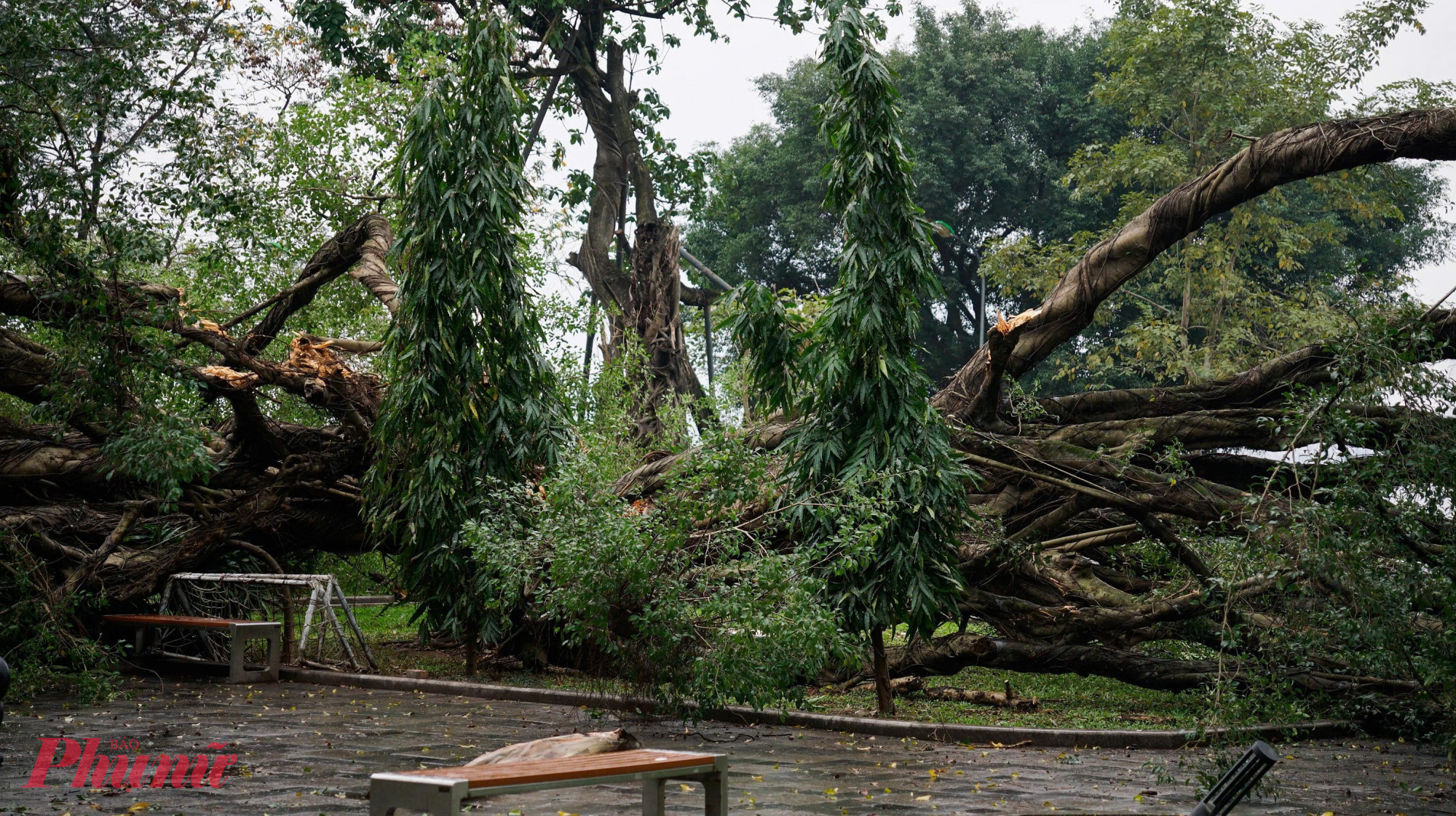 Hiện trường vụ việc.