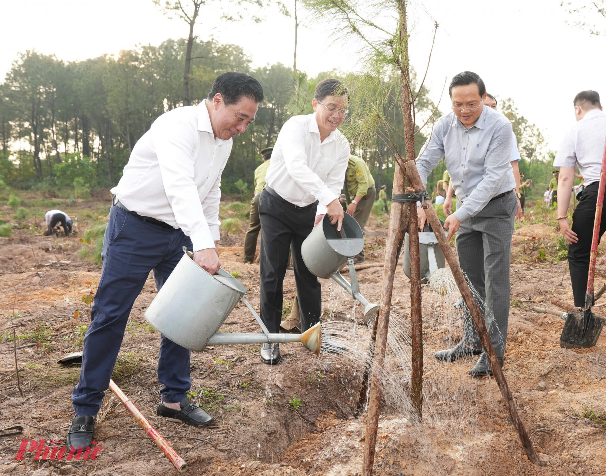 “Tết trồng cây” là hoạt động có ý nghĩa chính trị, xã hội và môi trường sâu sắc; 