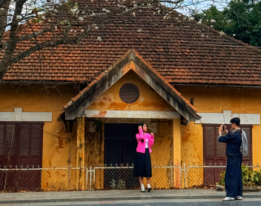 Vào những ngày đầu năm, trước ngôi biệt thự cũ này trở thành điểm đến yêu thích của du khách nhờ sự tương phản đầy tính nghệ thuật giữa sắc hoa trắng muốt và vẻ đẹp trầm mặc của kiến trúc di sản.