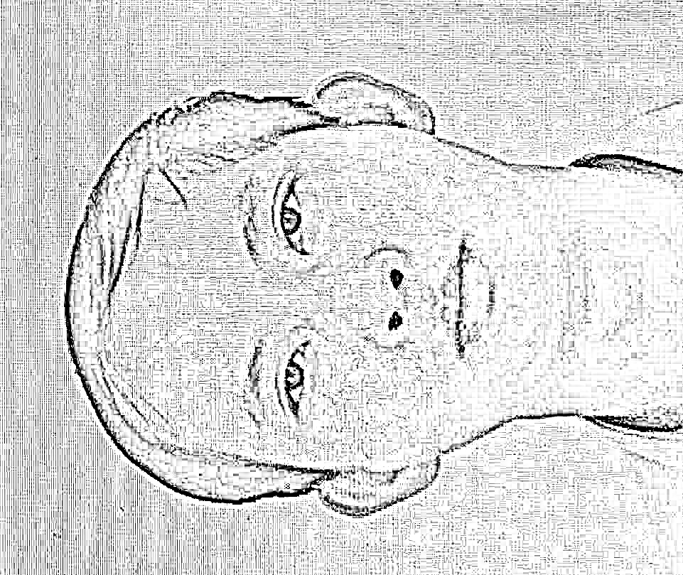 Trần Chí Hiếu bị công an tỉnh An Giang truy tìm - Ảnh CACC