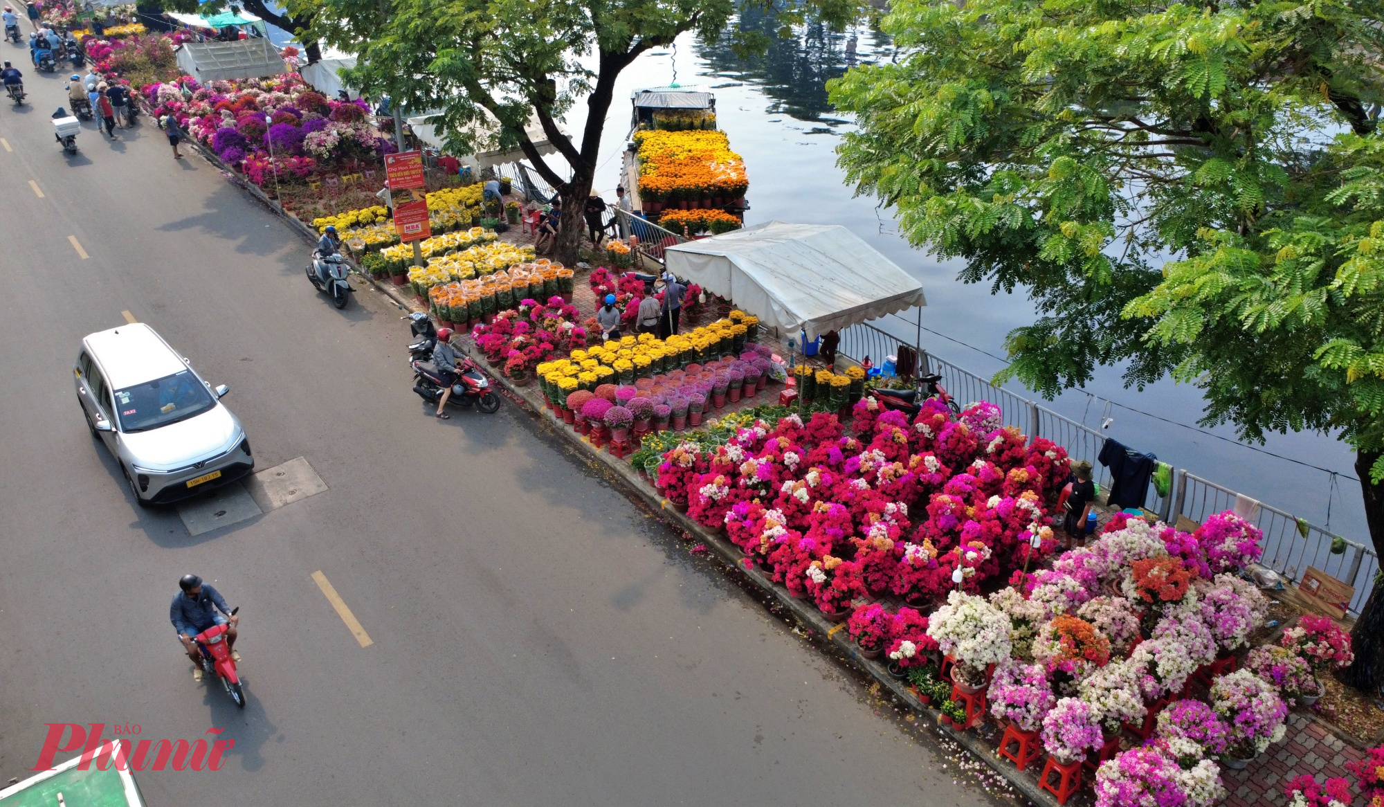 Chợ hoa trên bến dưới thuyền tổ chức tại phường Phú Định, TPHCM dịp tết này