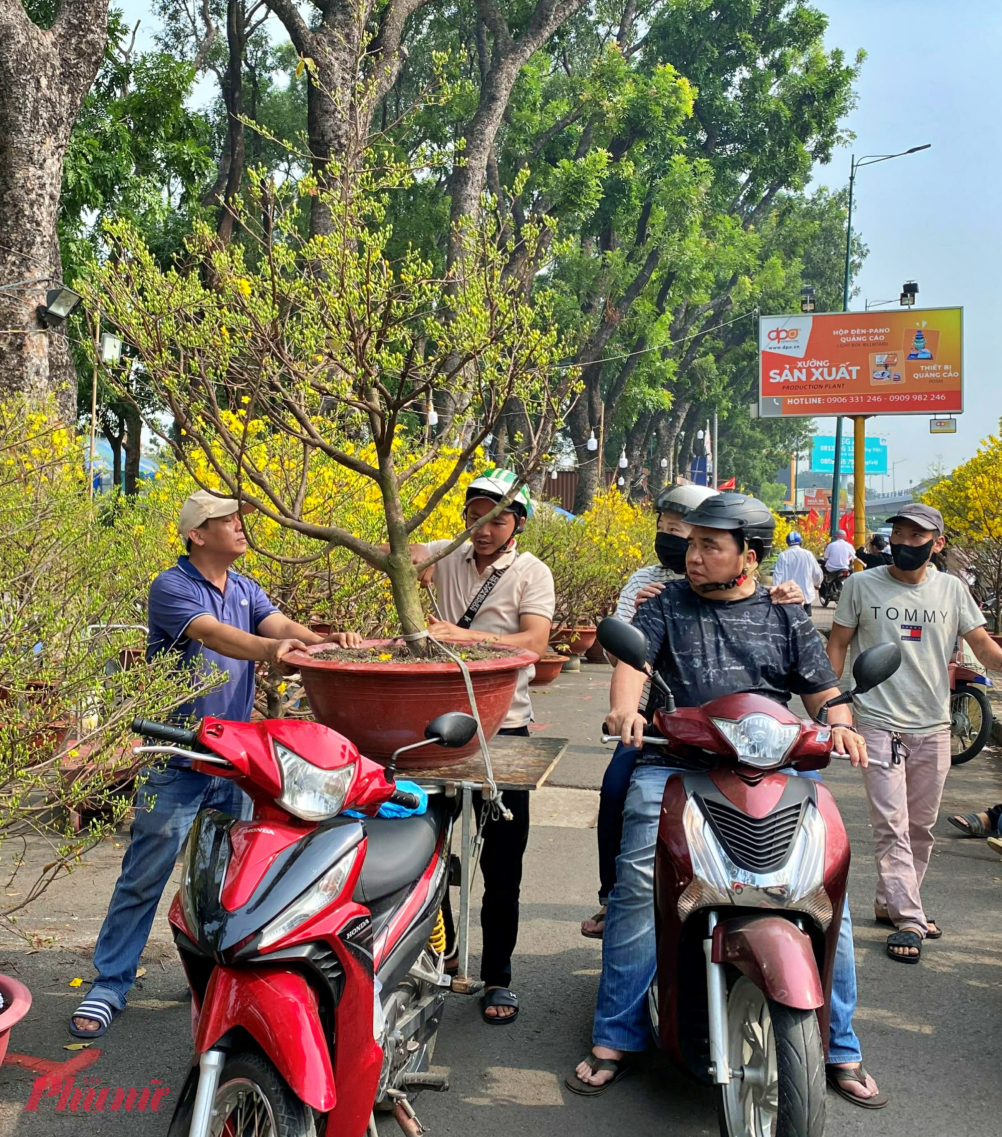 Người dân mua mai tại chợ hoa tết công viên Gia Định