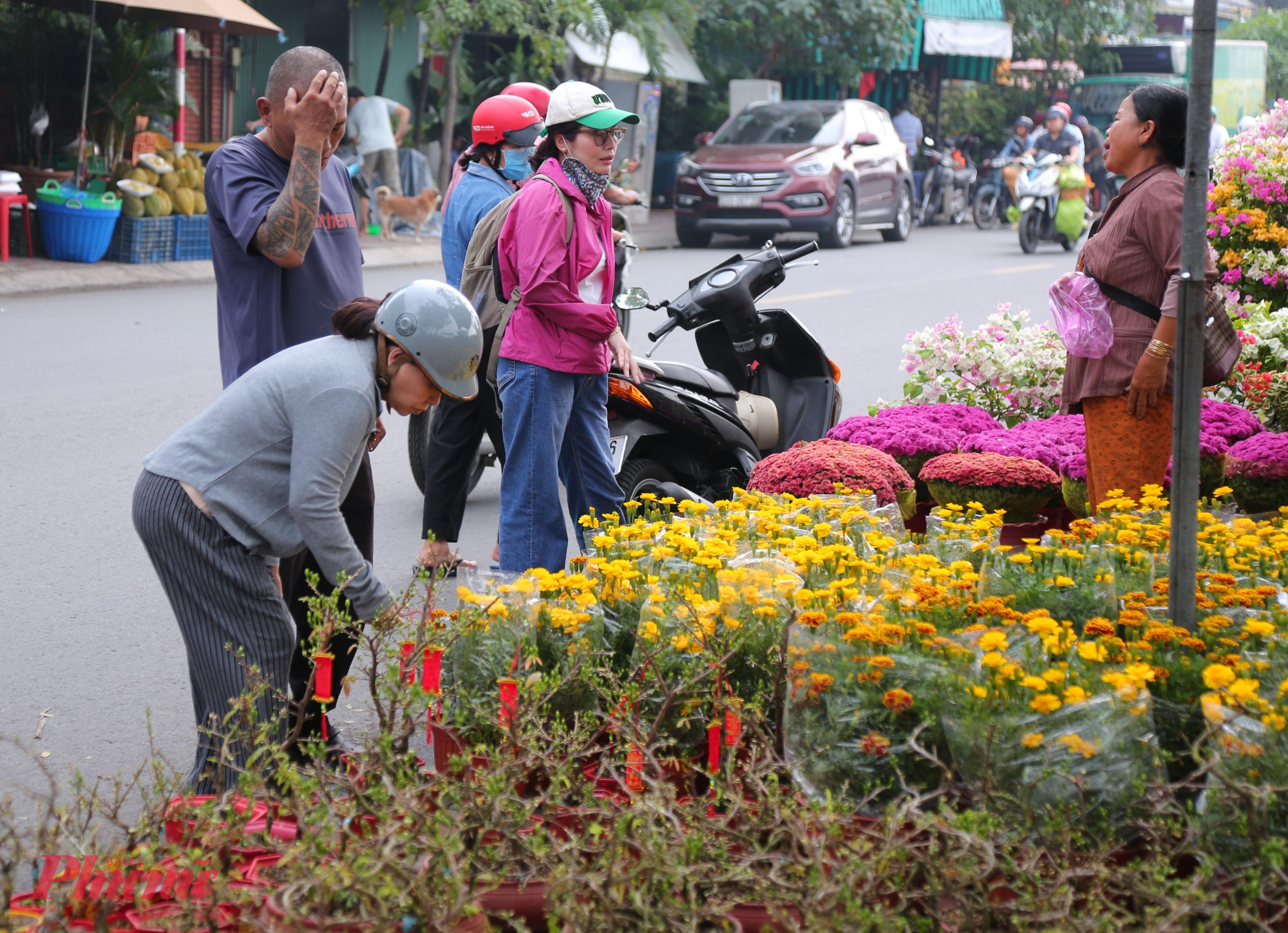 Những sản phẩm cây, trái bán chạy có giá dưới 500.000 đồng