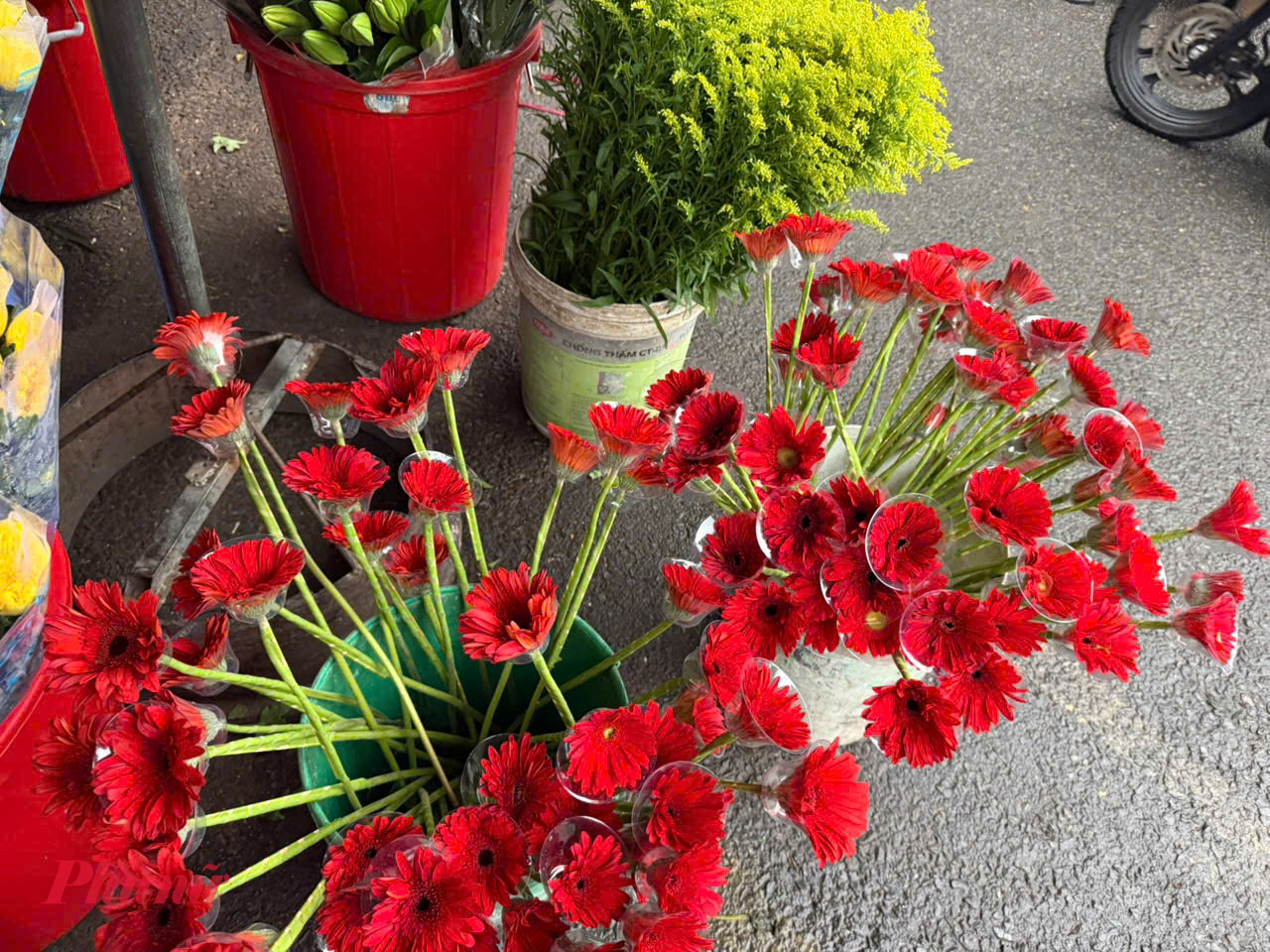 Theo Ban quản lý chợ đầu mối nông sản Thủ Đức, lượng hoa về chợ hôm nay tăng hơn 2 tấn so với hôm qua, đạt 76 tấn. Đây được cho là nguyên nhân khiến giá hoa năm nay có phần thấp hơn mọi năm.