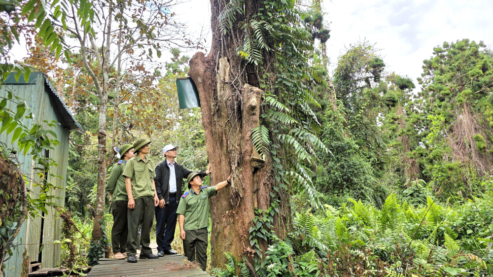 Công tác tuần tra, bảo vệ rừng vẫn được thực hiện nghiêm trong những ngày tết Nguyên đán hằng năm